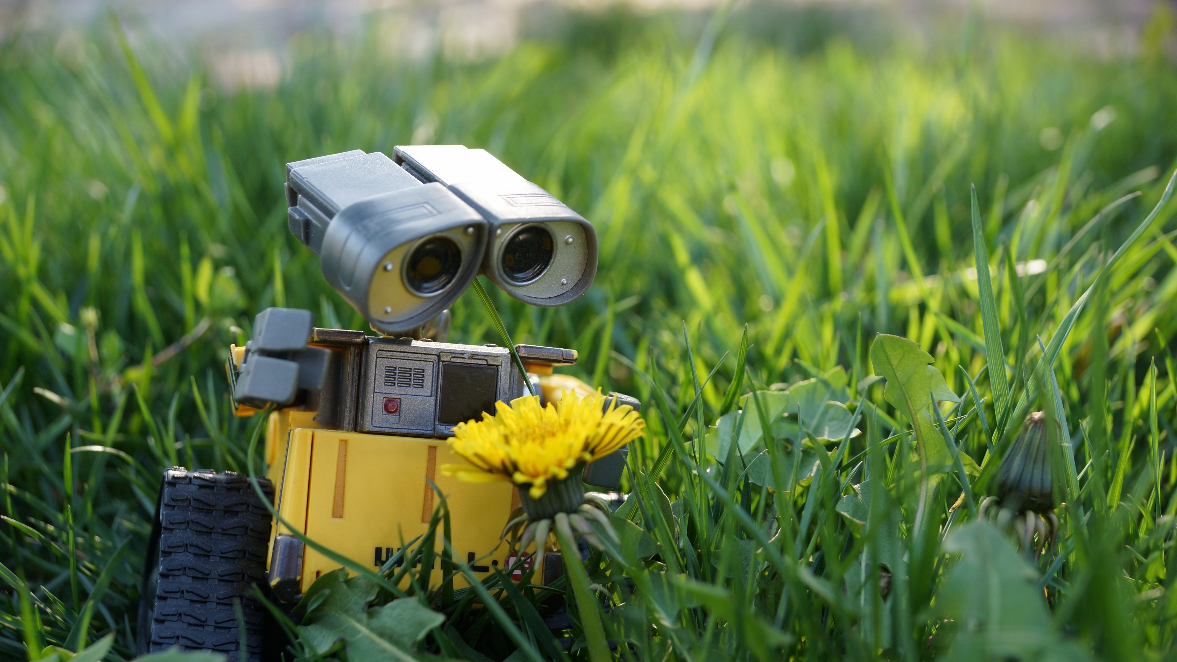 Wall E Wallpaper
