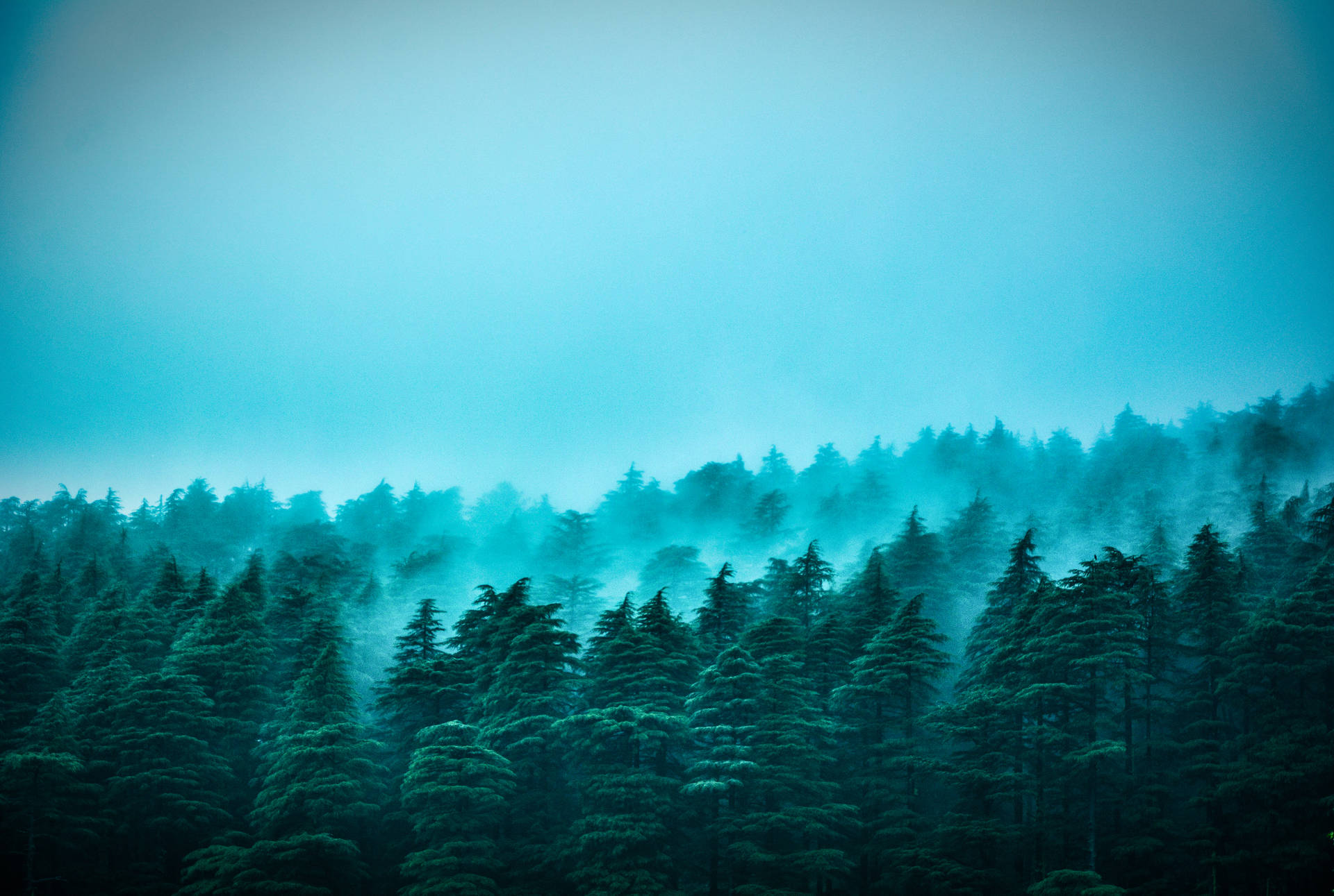 Download free Blue Aesthetic Foggy