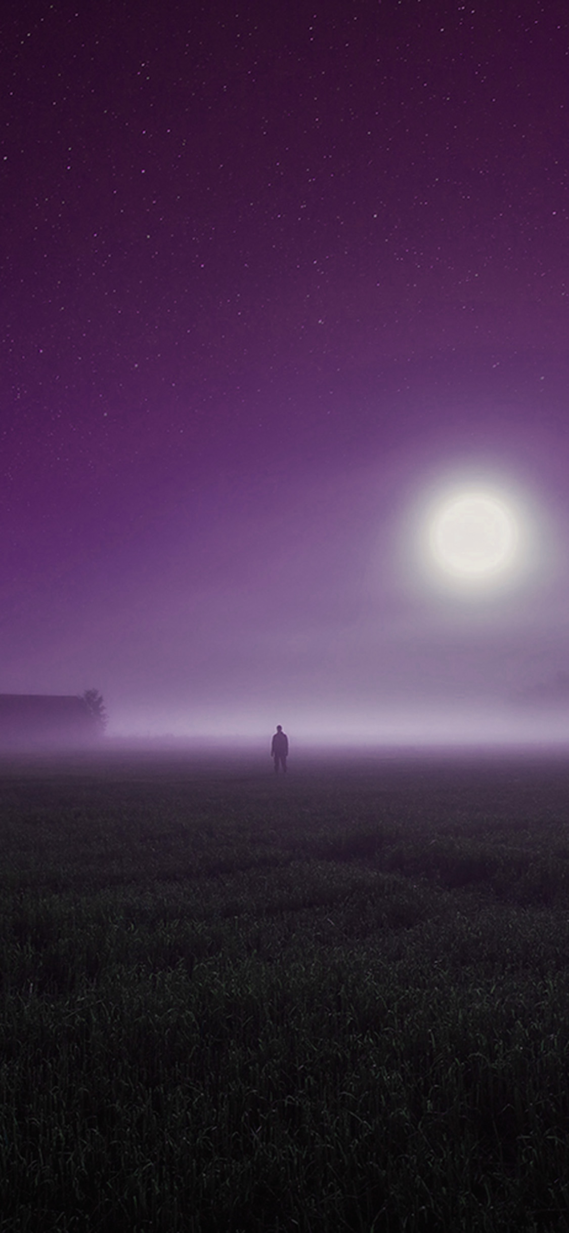 Sunrise Fog Field Art Purple