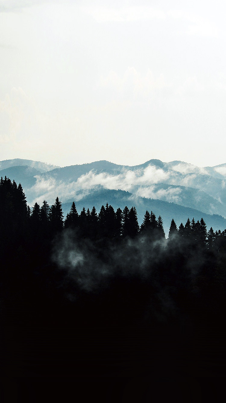 Mountain Fog Nature View Wood
