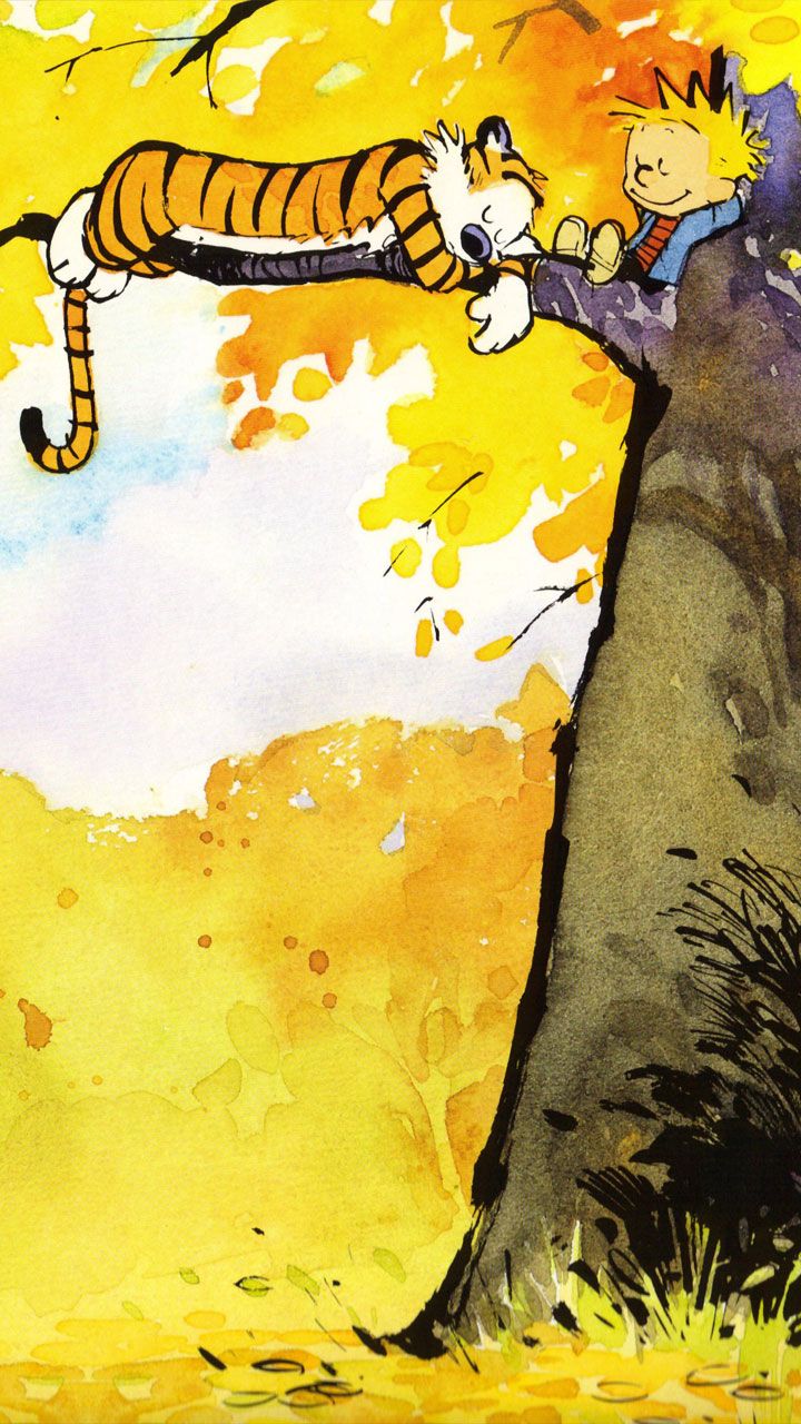 Calvin and hobbes comics
