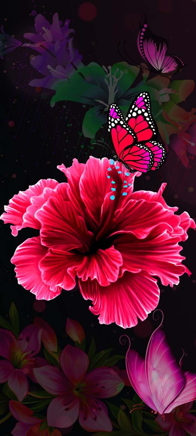 Butterfly On Flower IPhone Wallpaper HD