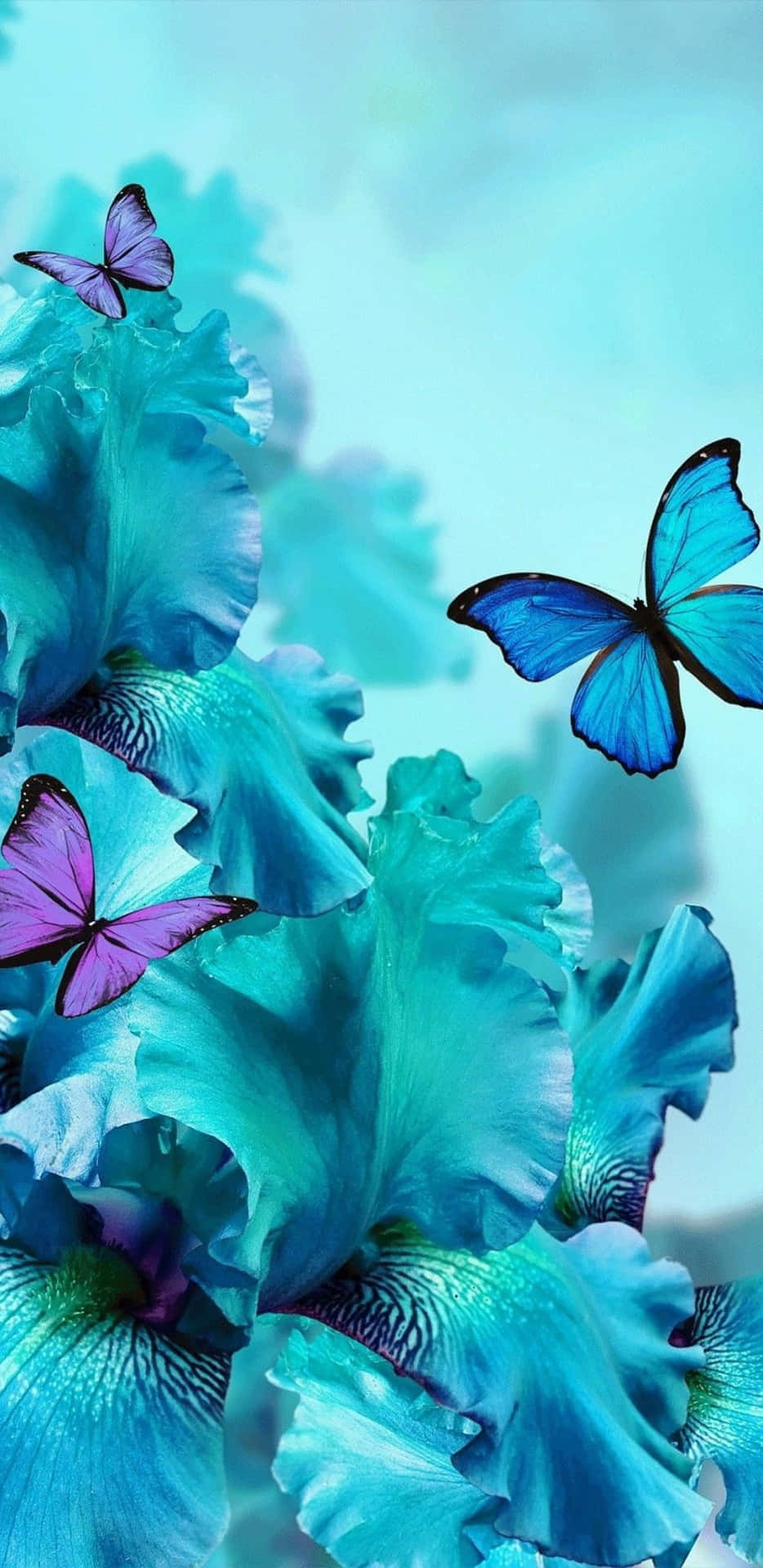 And Butterflies Neon Froze Wallpaper