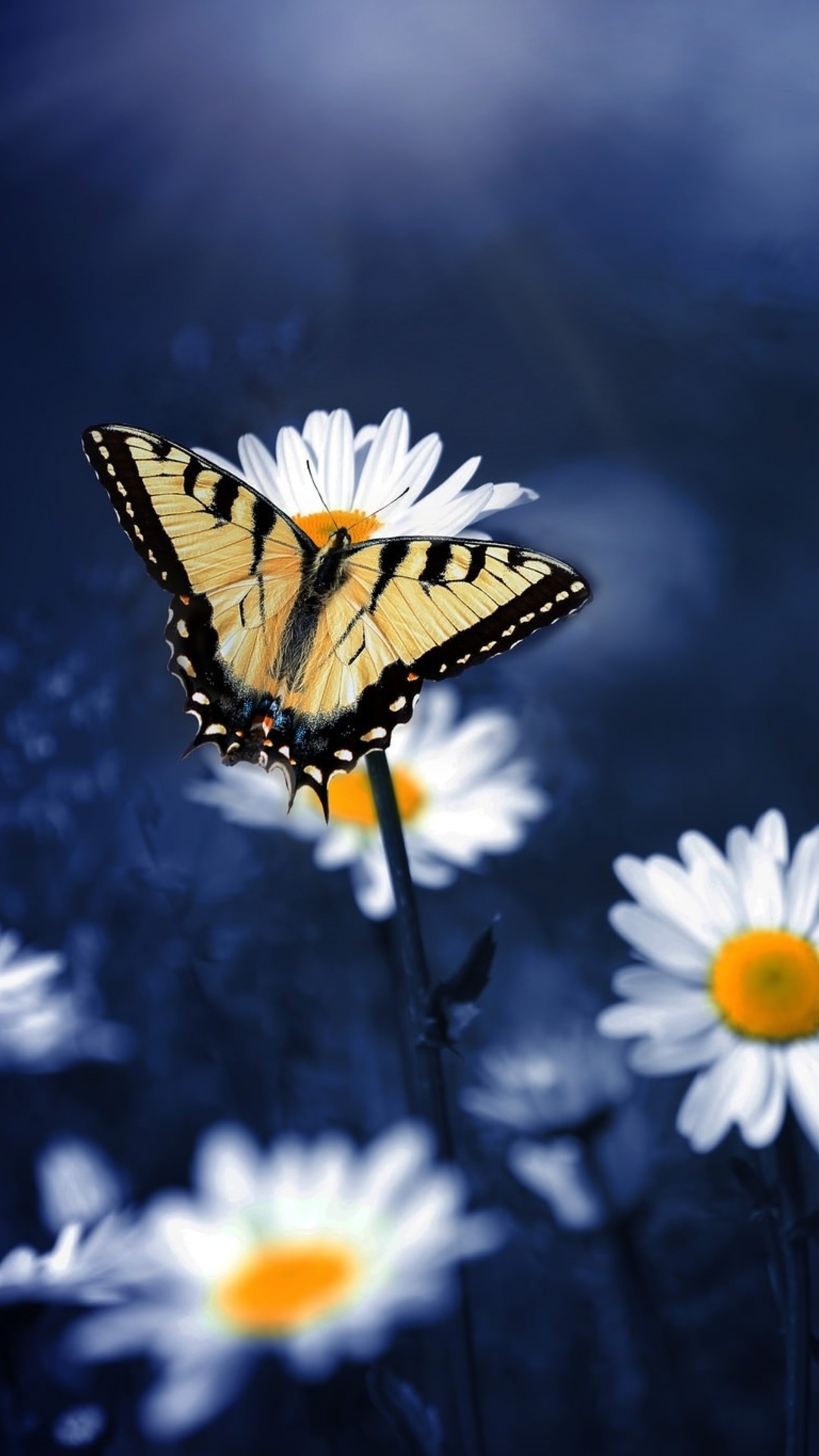 Butterfly On Flowers iPhone 7