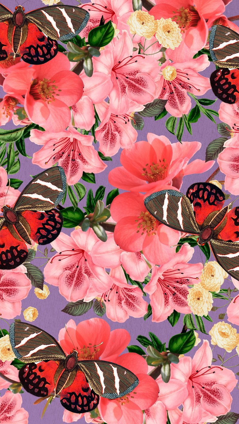 Butterfly iPhone Wallpaper Image