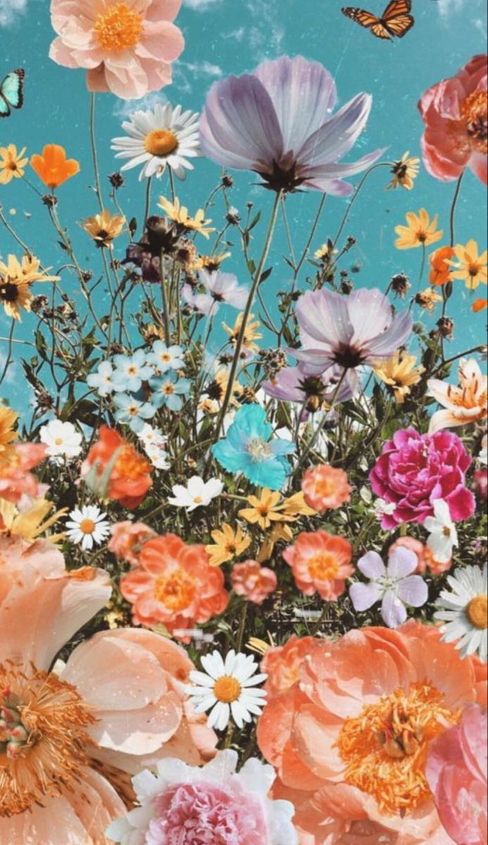 Flower and Butterfly Phone Wallpaper