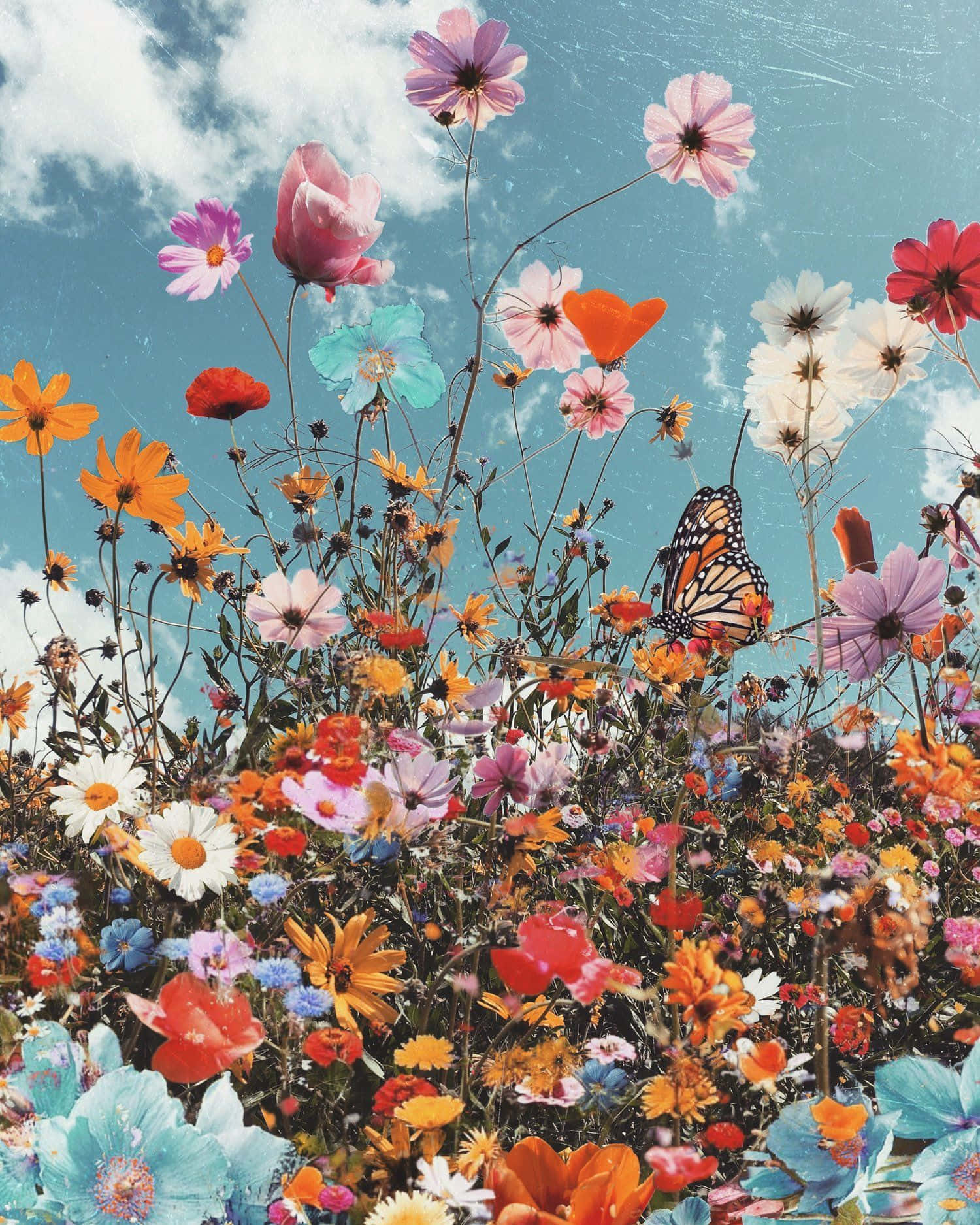 Download A Colorful Flower Field With