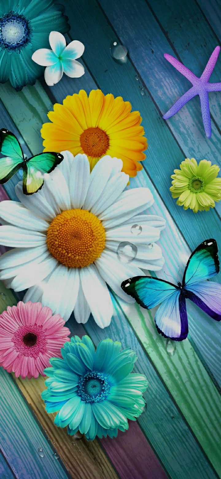 Wallpaper nature flowers, Blue flower
