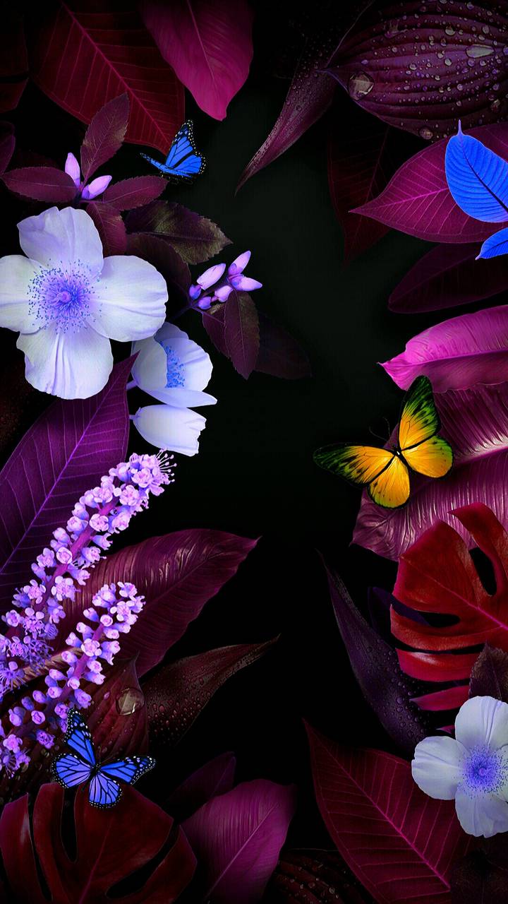 Flowers and Butterflies
