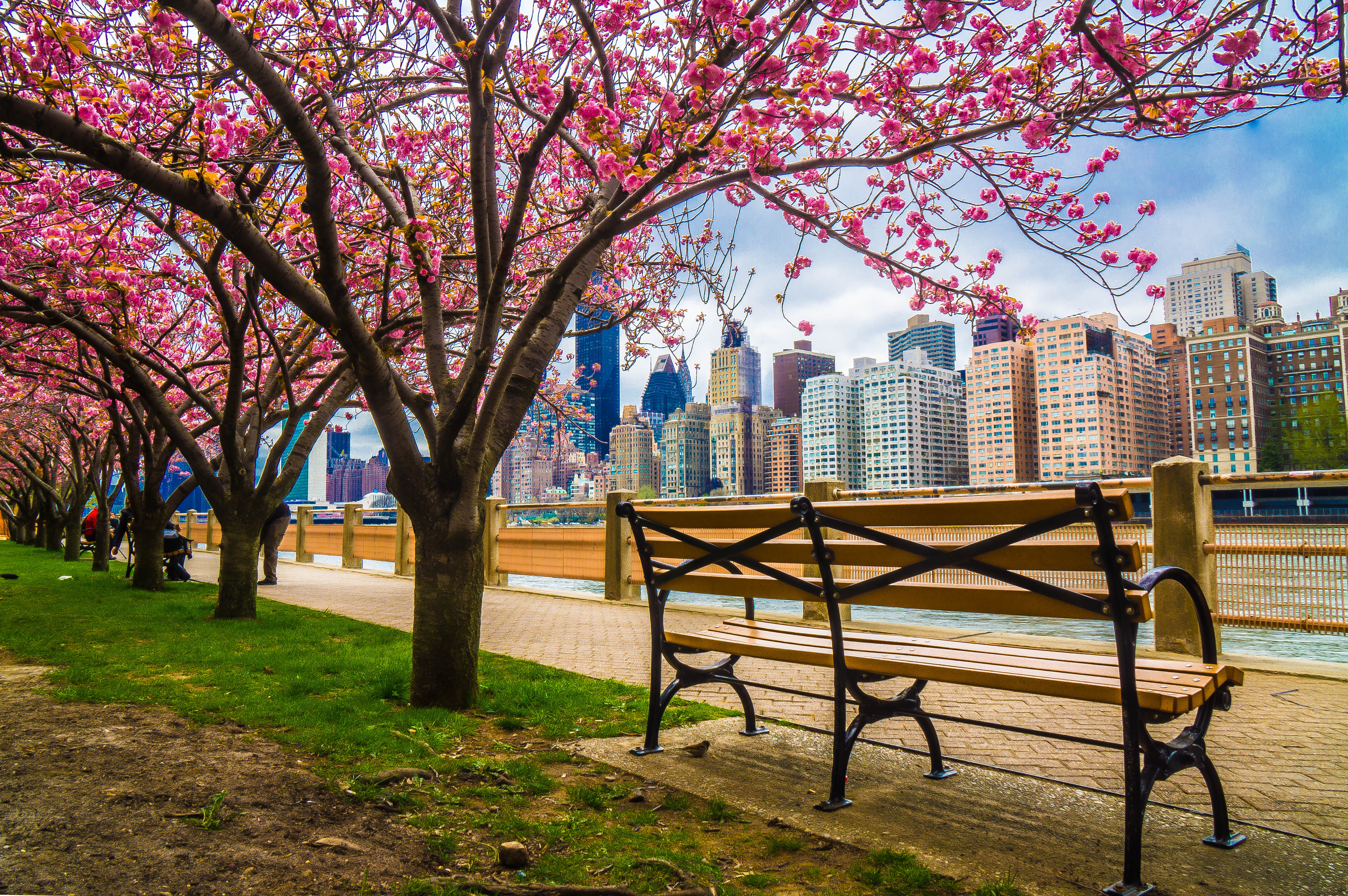 4k Ultra HD Wallpaper