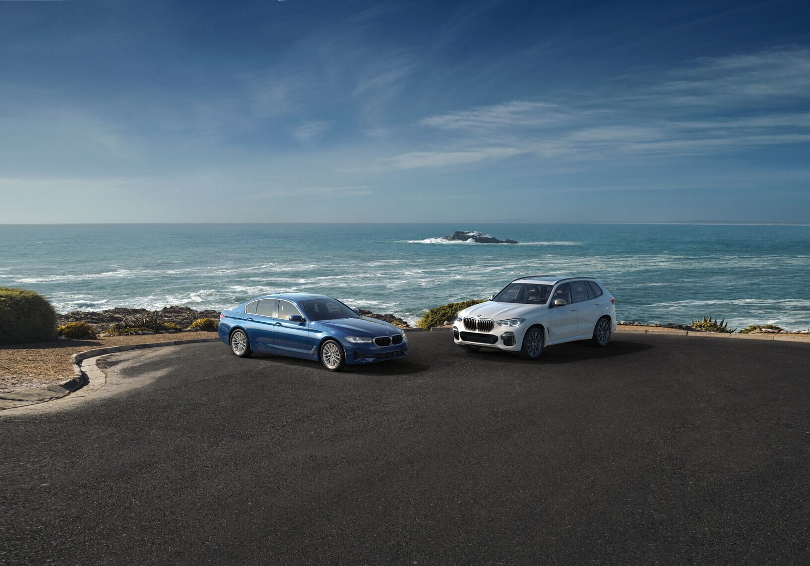 Bold and Captivating 2024 BMW X5