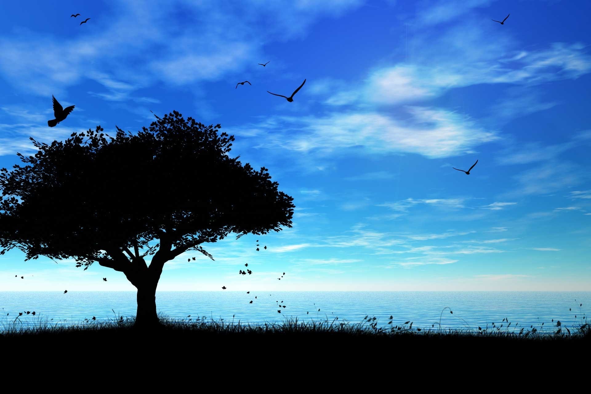 Birds sky tree shadow sea mood bokeh