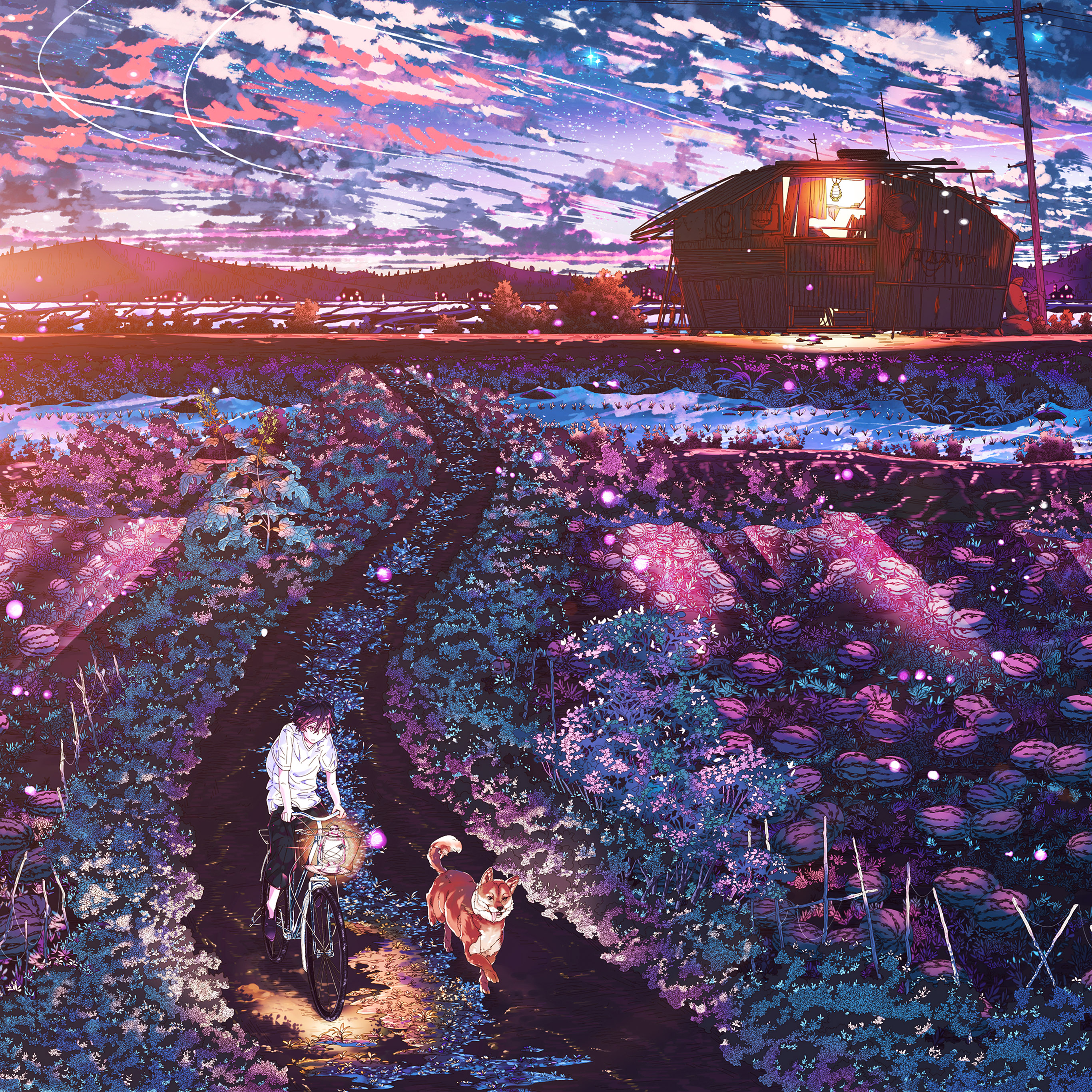 Sunset Lovely Illustration Flare Wallpaper