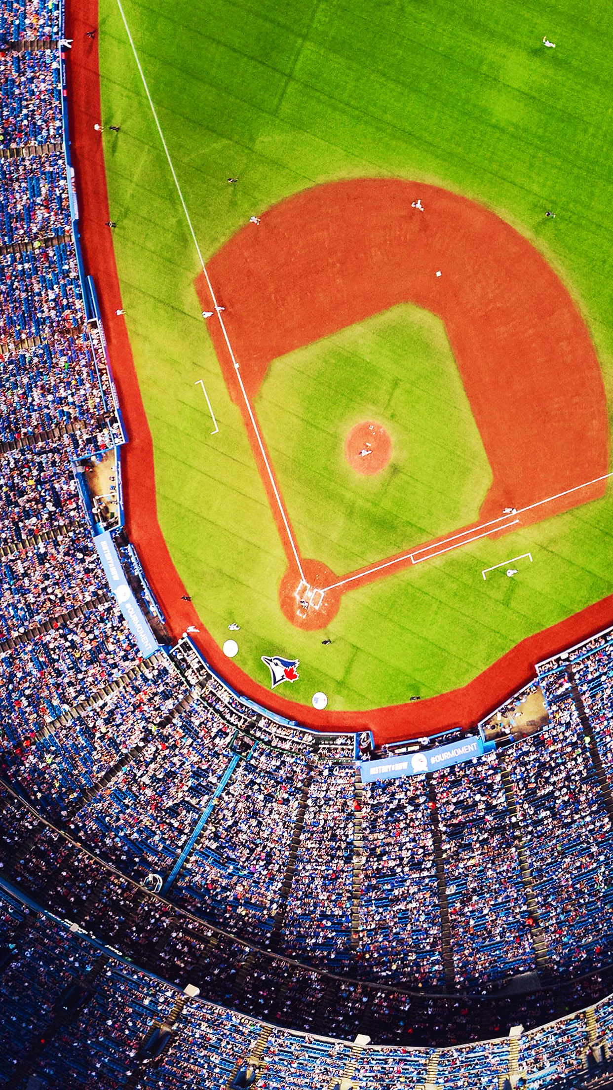 Bluejays Baseball Mlb Field Sports