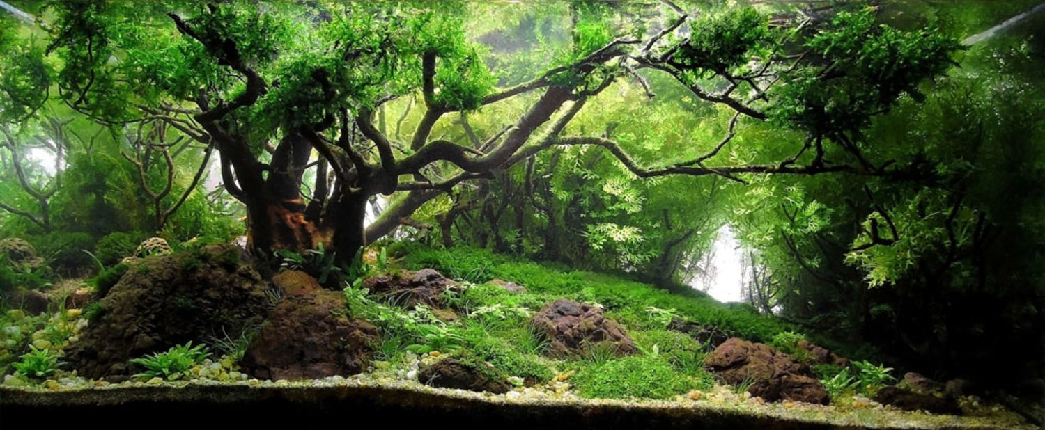 Pimp my fish tank: This is the eerie