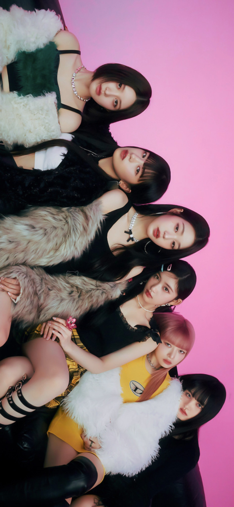 Ive ᓚᘏᗢ ✧ Wonyoung