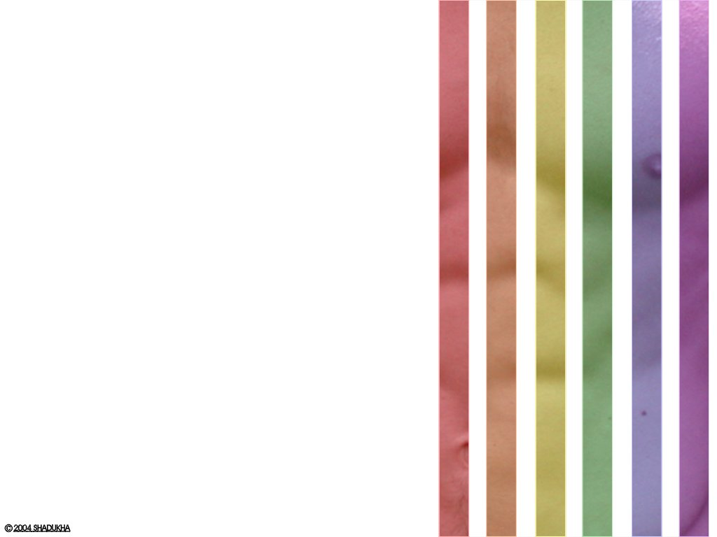Pride Wallpaper 3