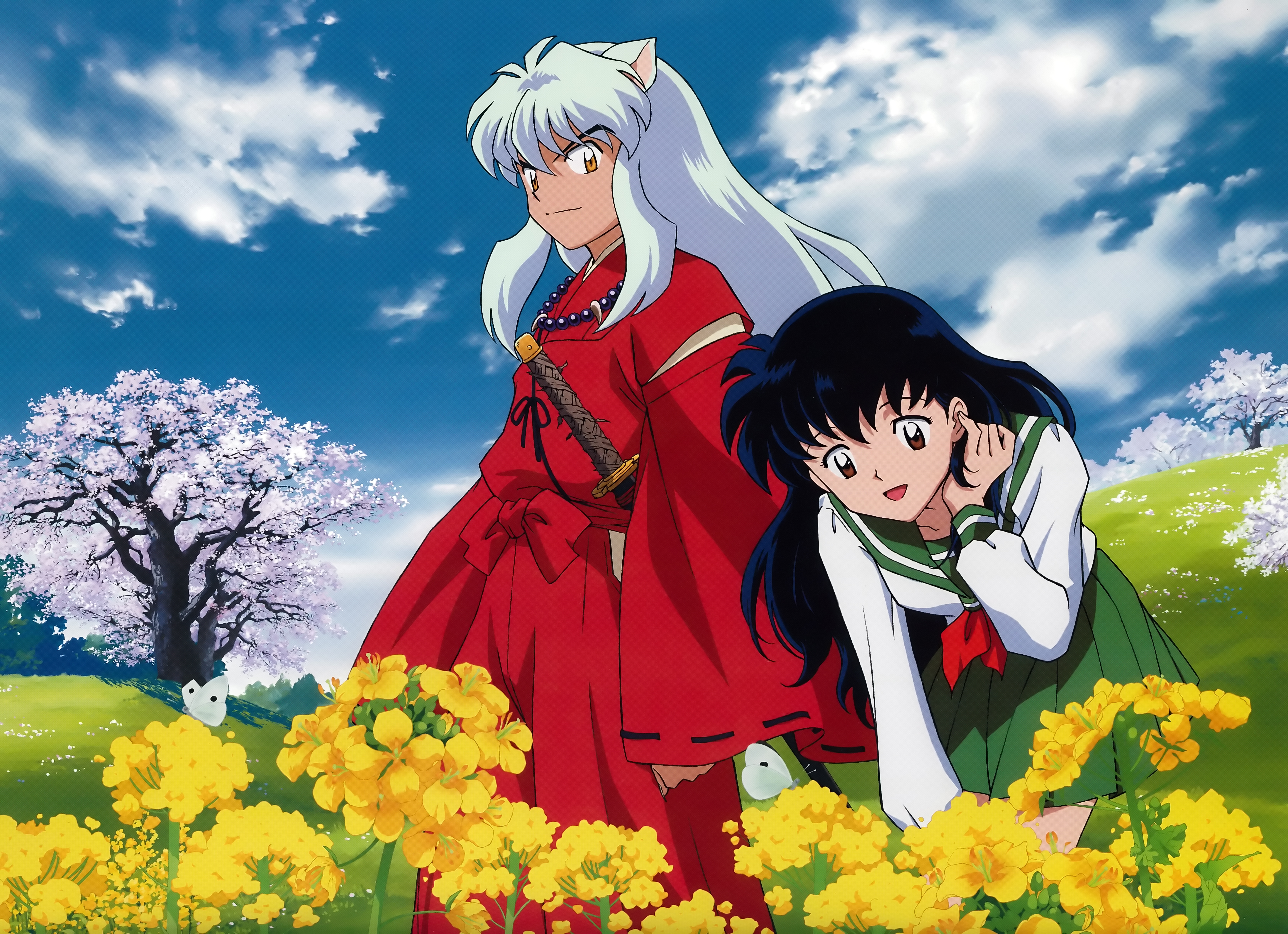Anime InuYasha 4k Ultra HD Wallpaper