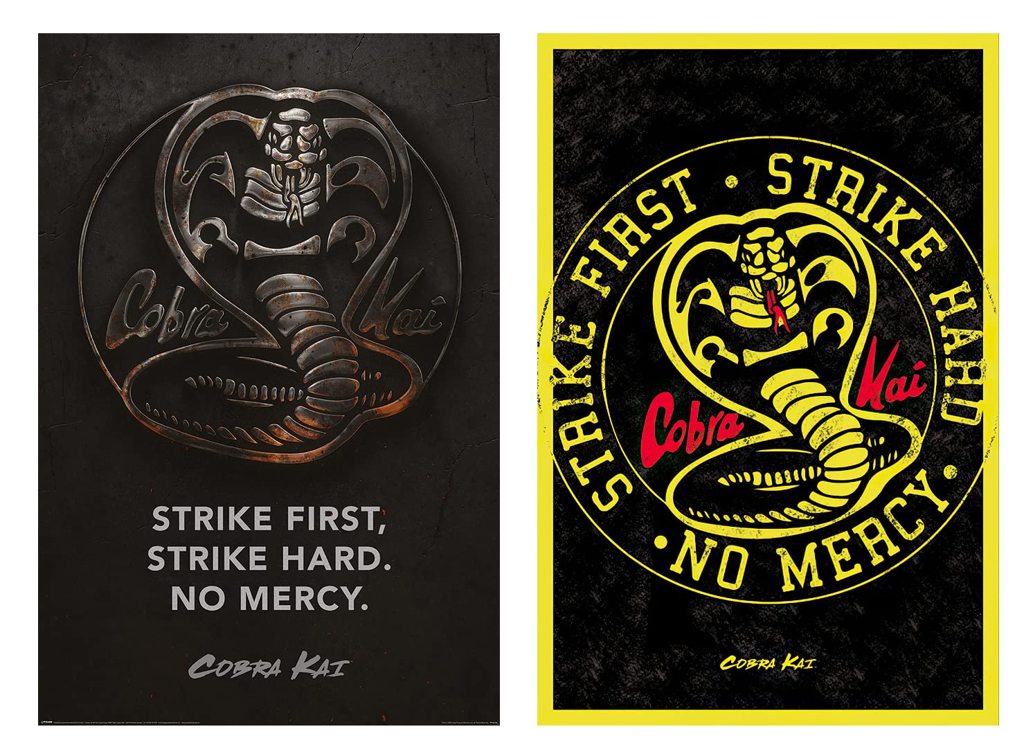 Cobra Kai Show Movie Poster Set