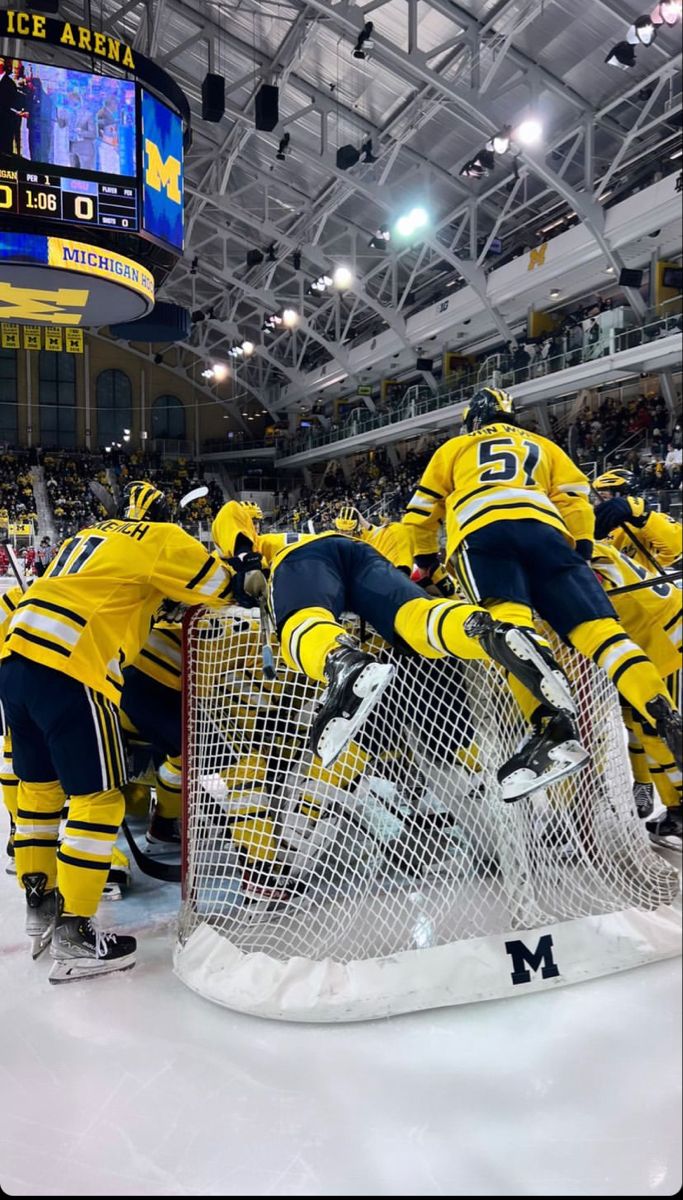 Michigan hockey
