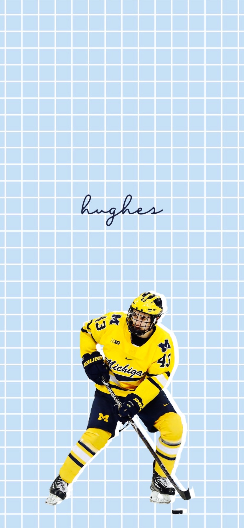 quinn hughes michigan wolverines