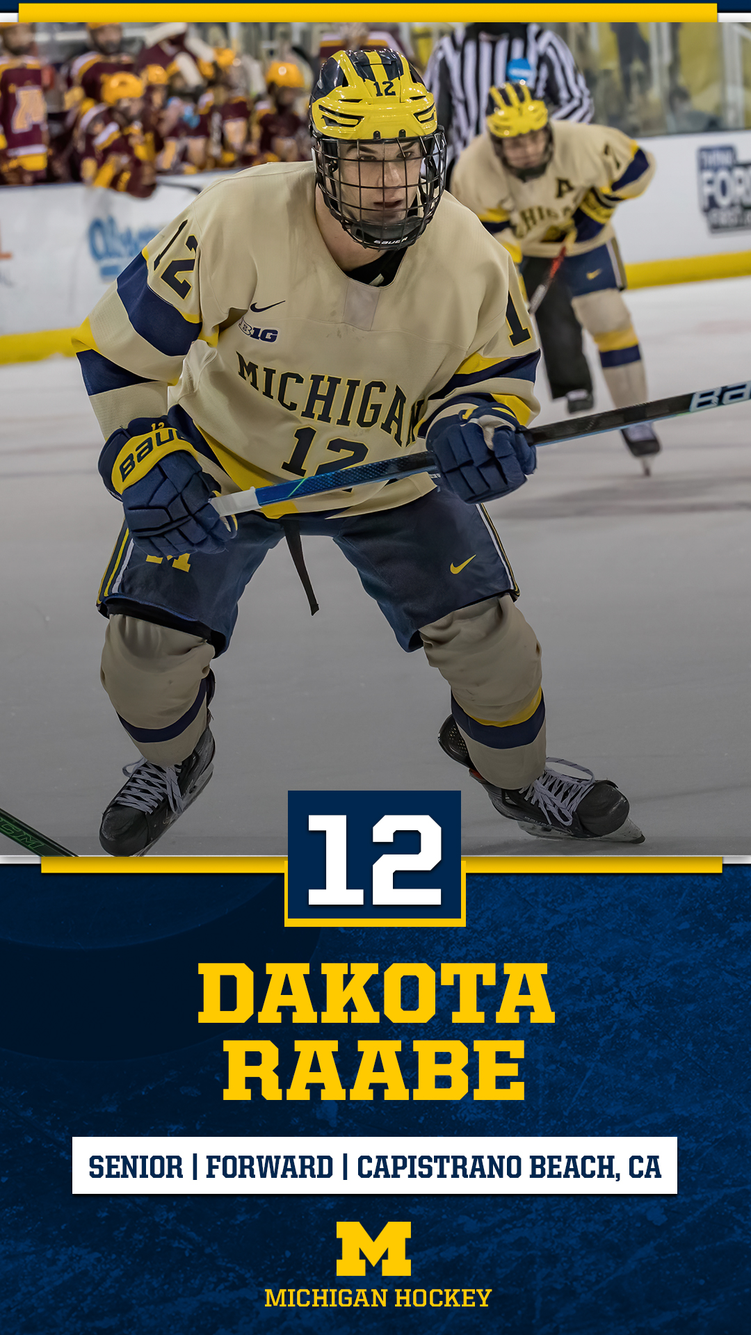 Michigan Hockey something