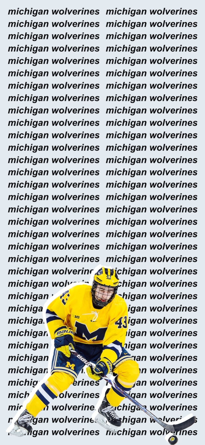 quinn hughes michigan wolverines