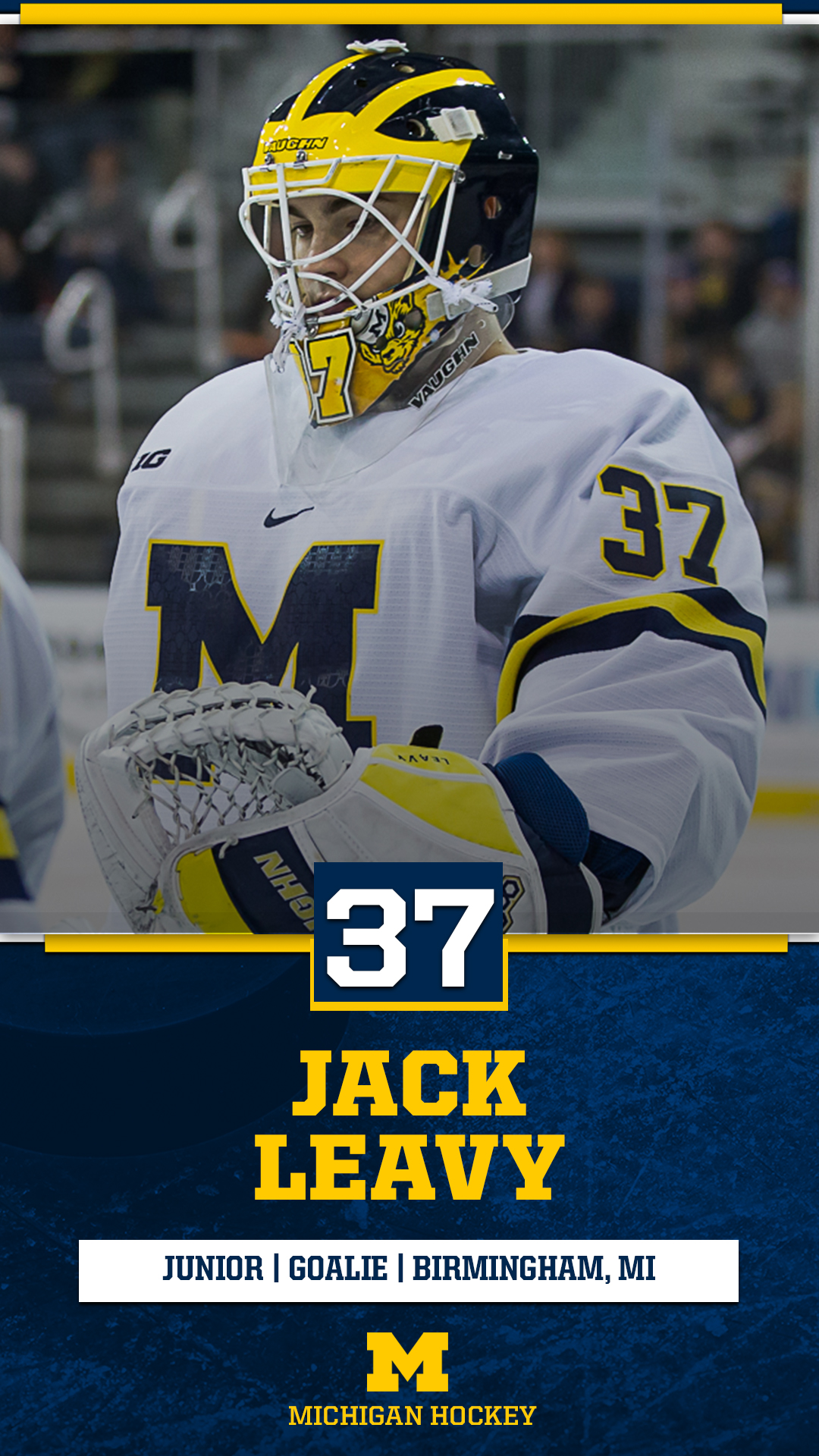 Michigan Hockey something