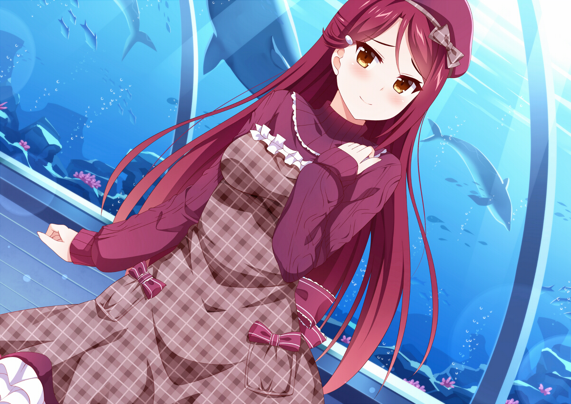 Anime Love Live! Sunshine!! HD