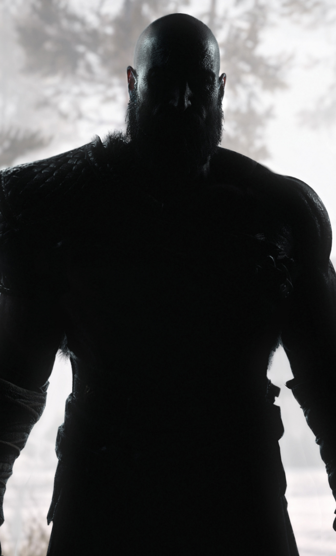 Download wallpaper 1280x2120 kratos