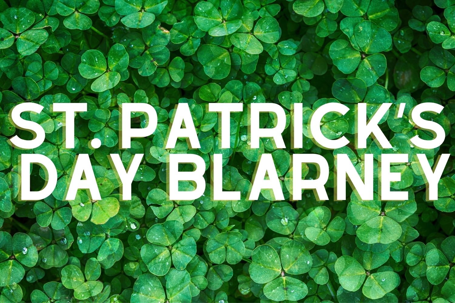 Scenic Excursions Niagara