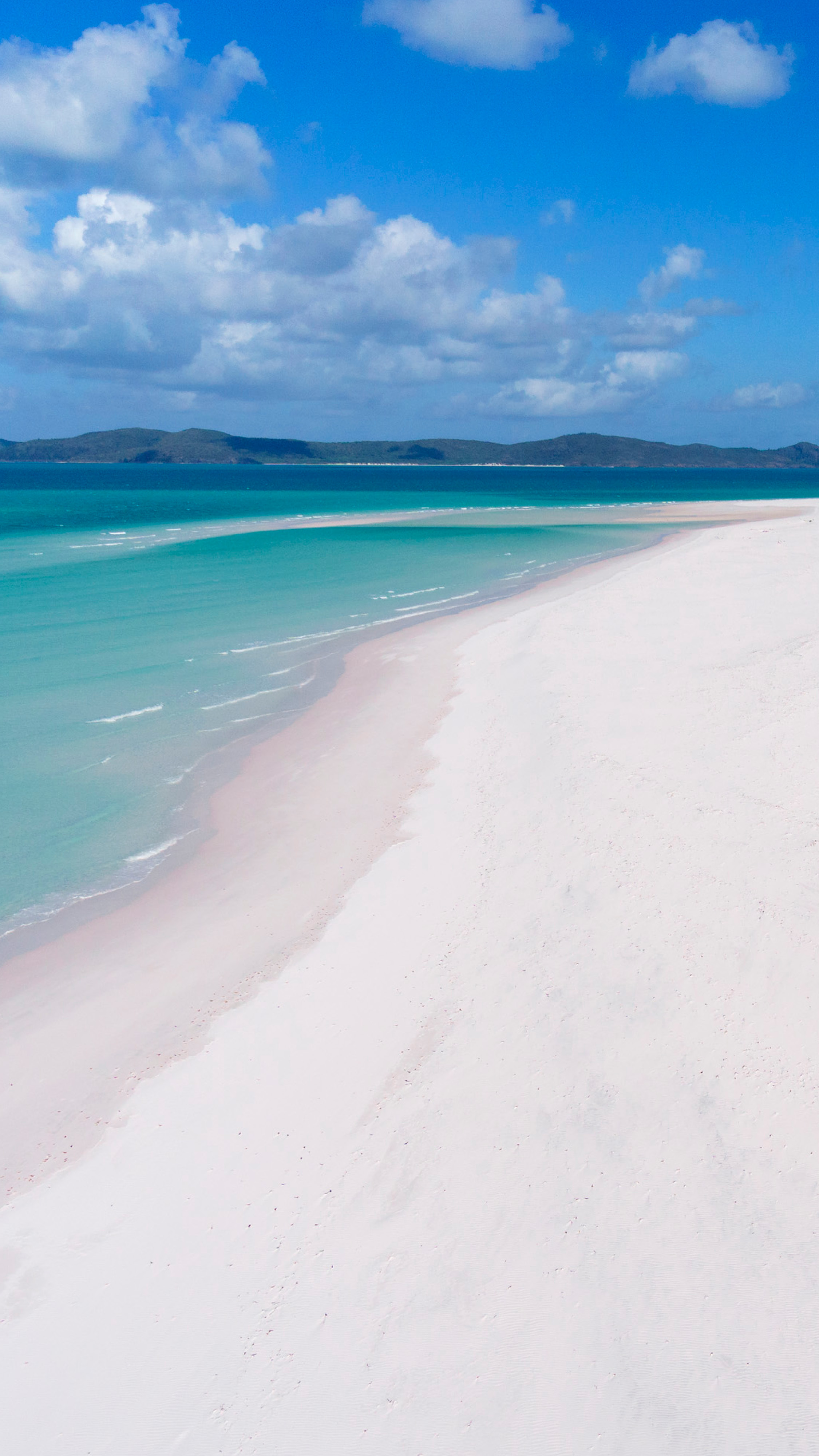 Dial in from paradise. Hamilton Island