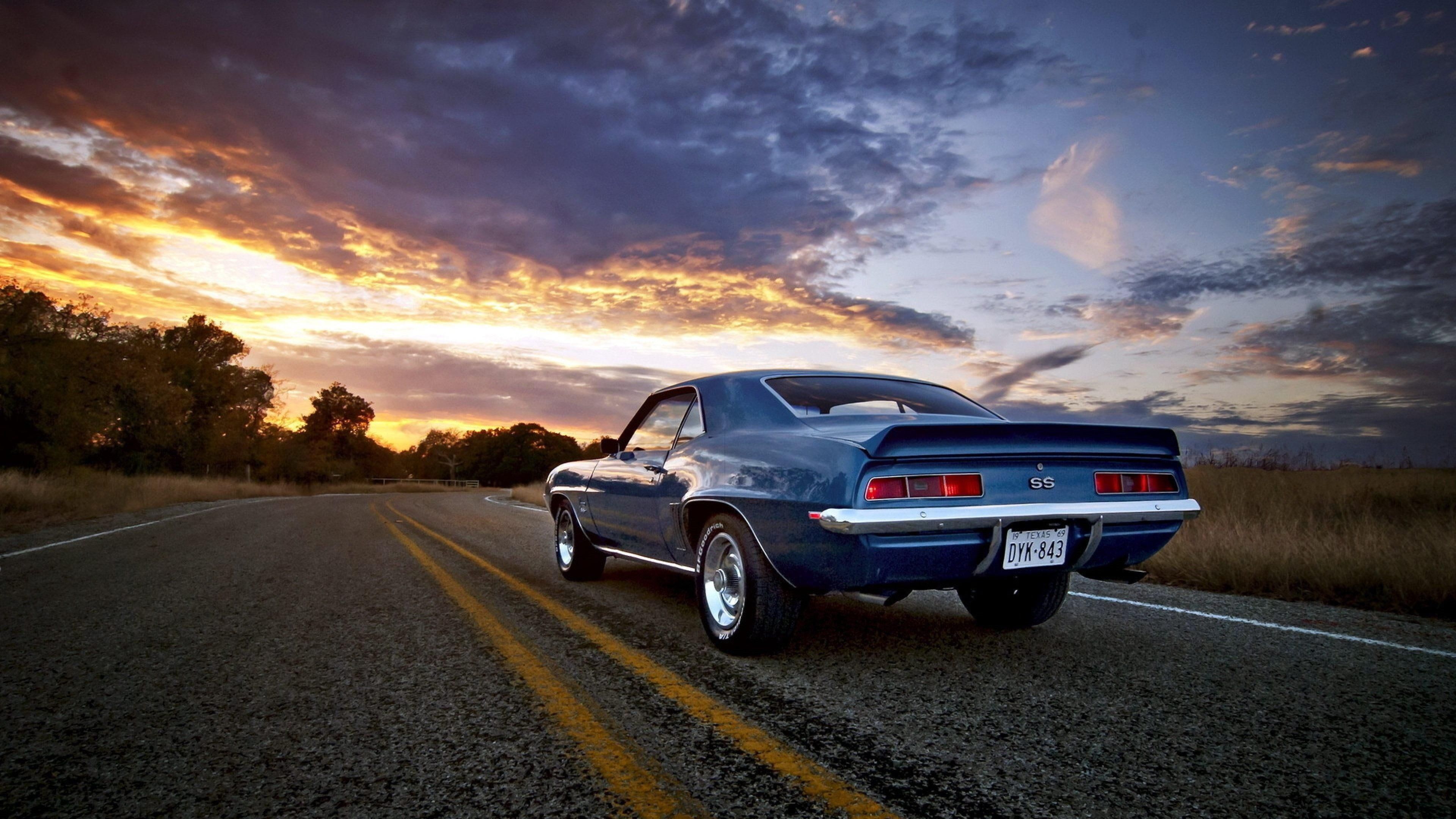 chevy camaro, 1969 chevy camaro ss