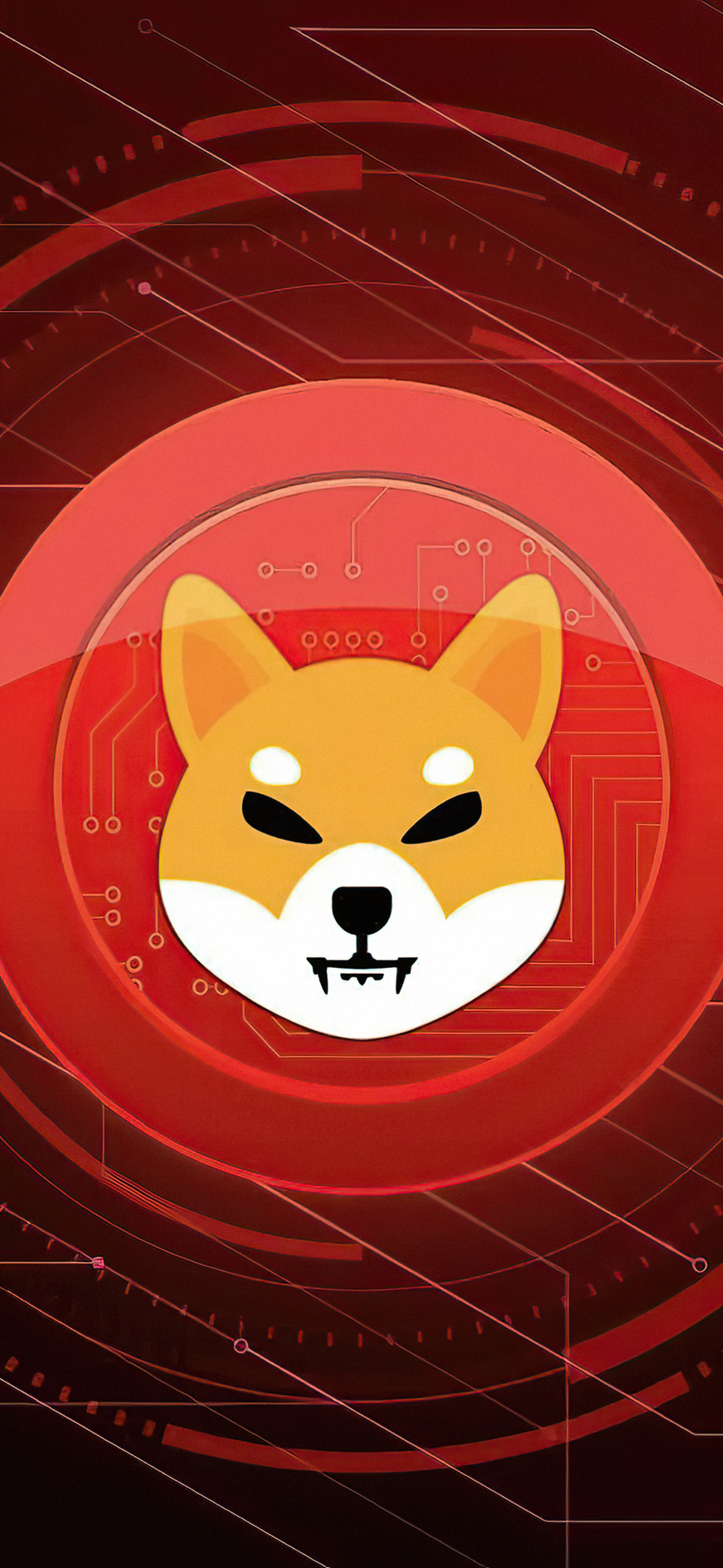 Shiba Inu 4k iPhone XS, iPhone