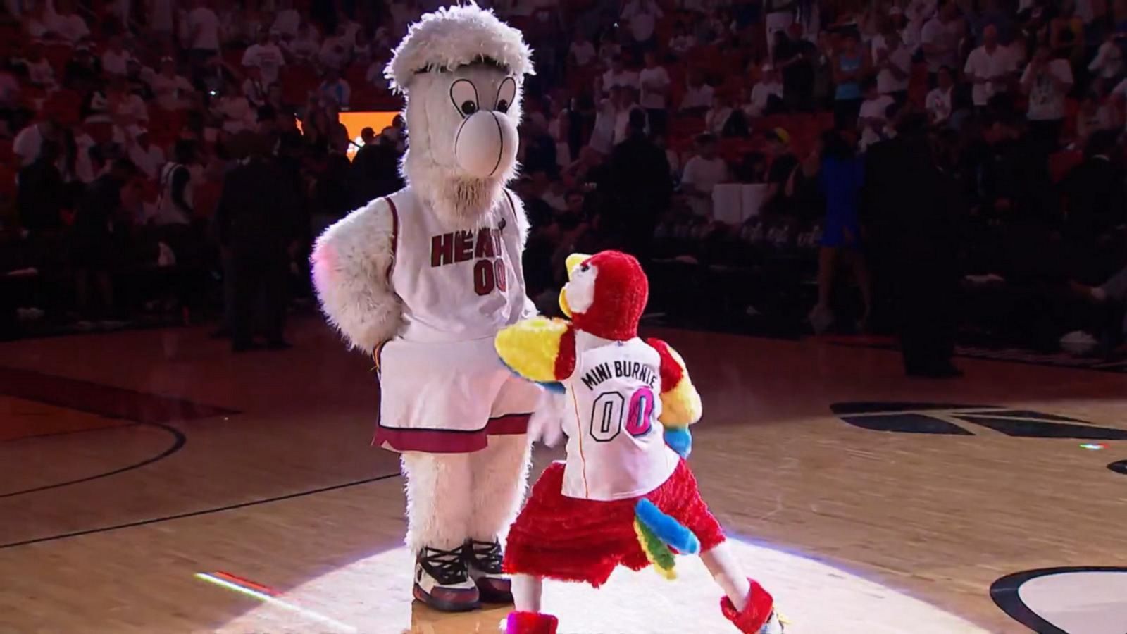 Miami Heat mascot during NBA Finals