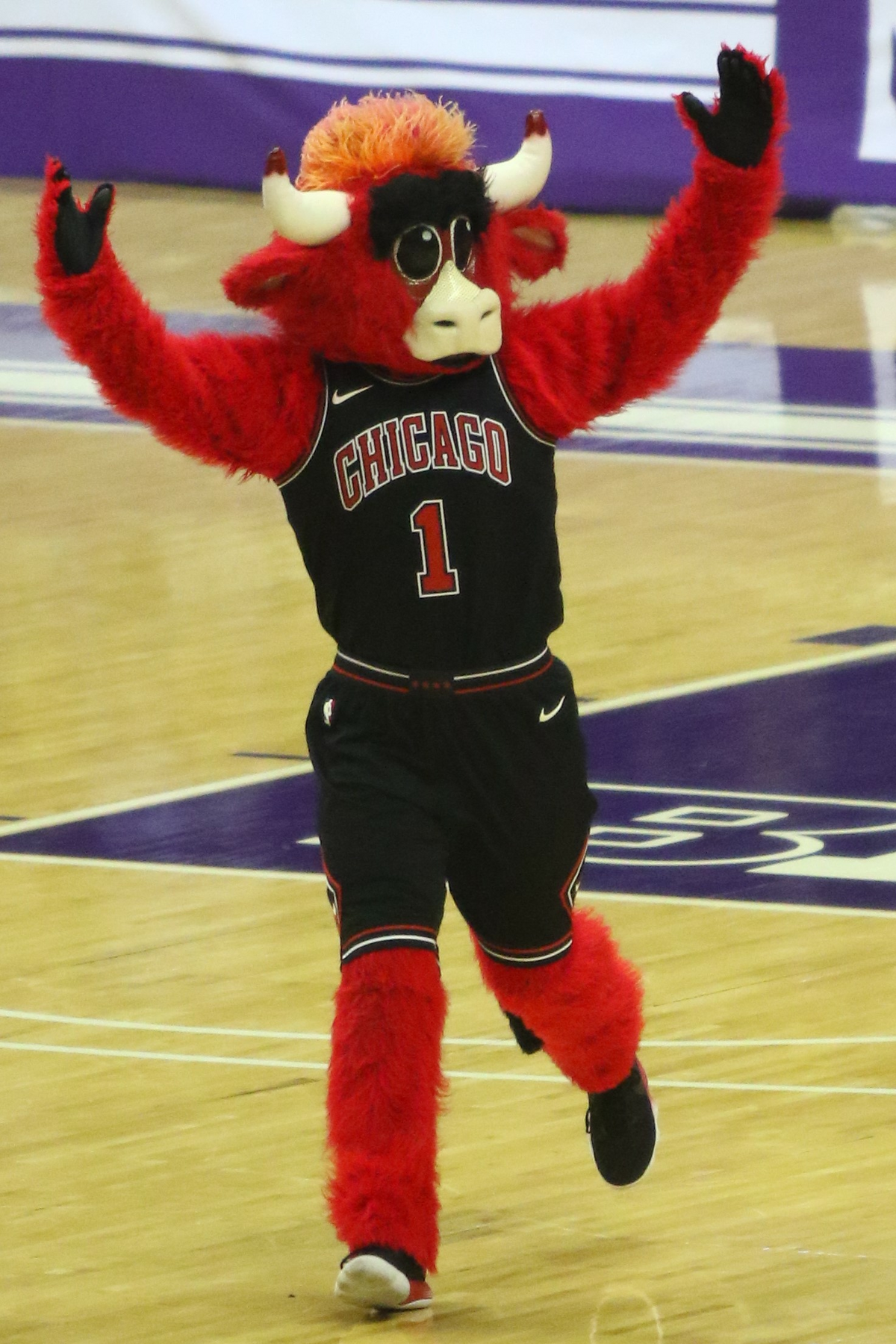 Category:NBA Mascots