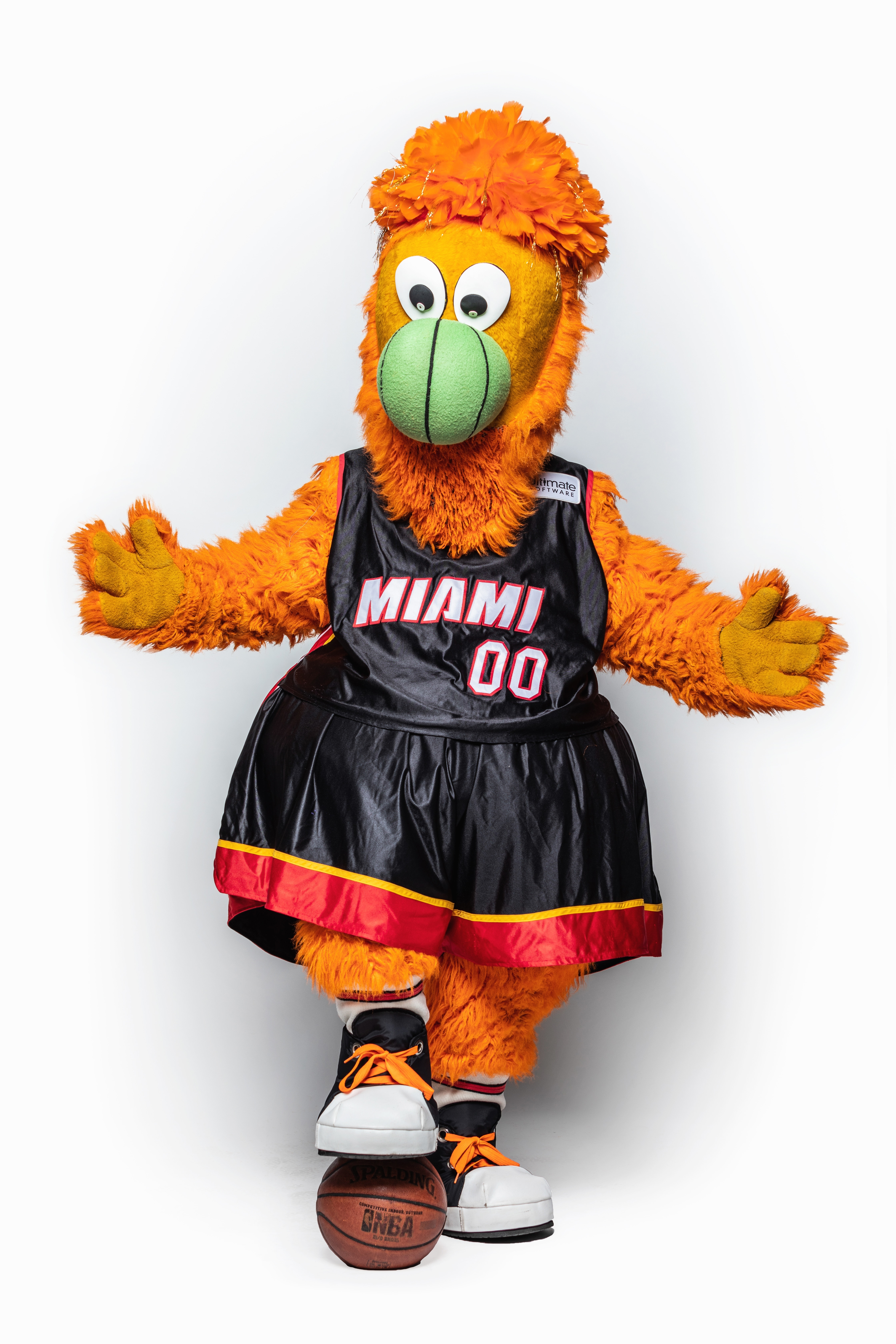 Mascot Burnie Photo Gallery Photo