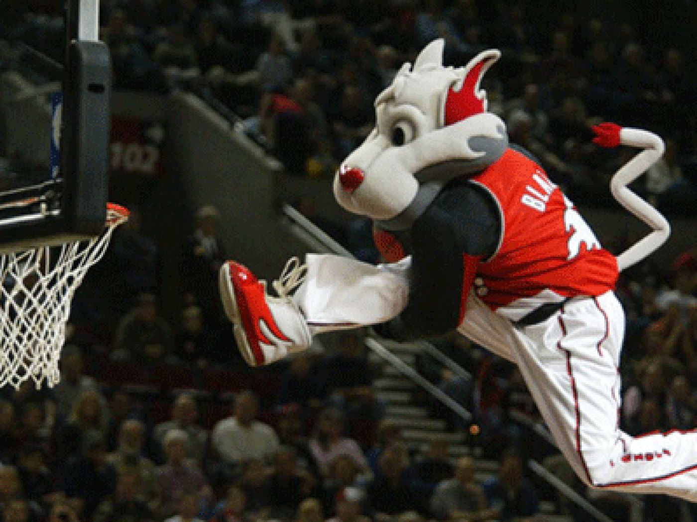 Hanstock: Blaze The Trail Cat Slammed