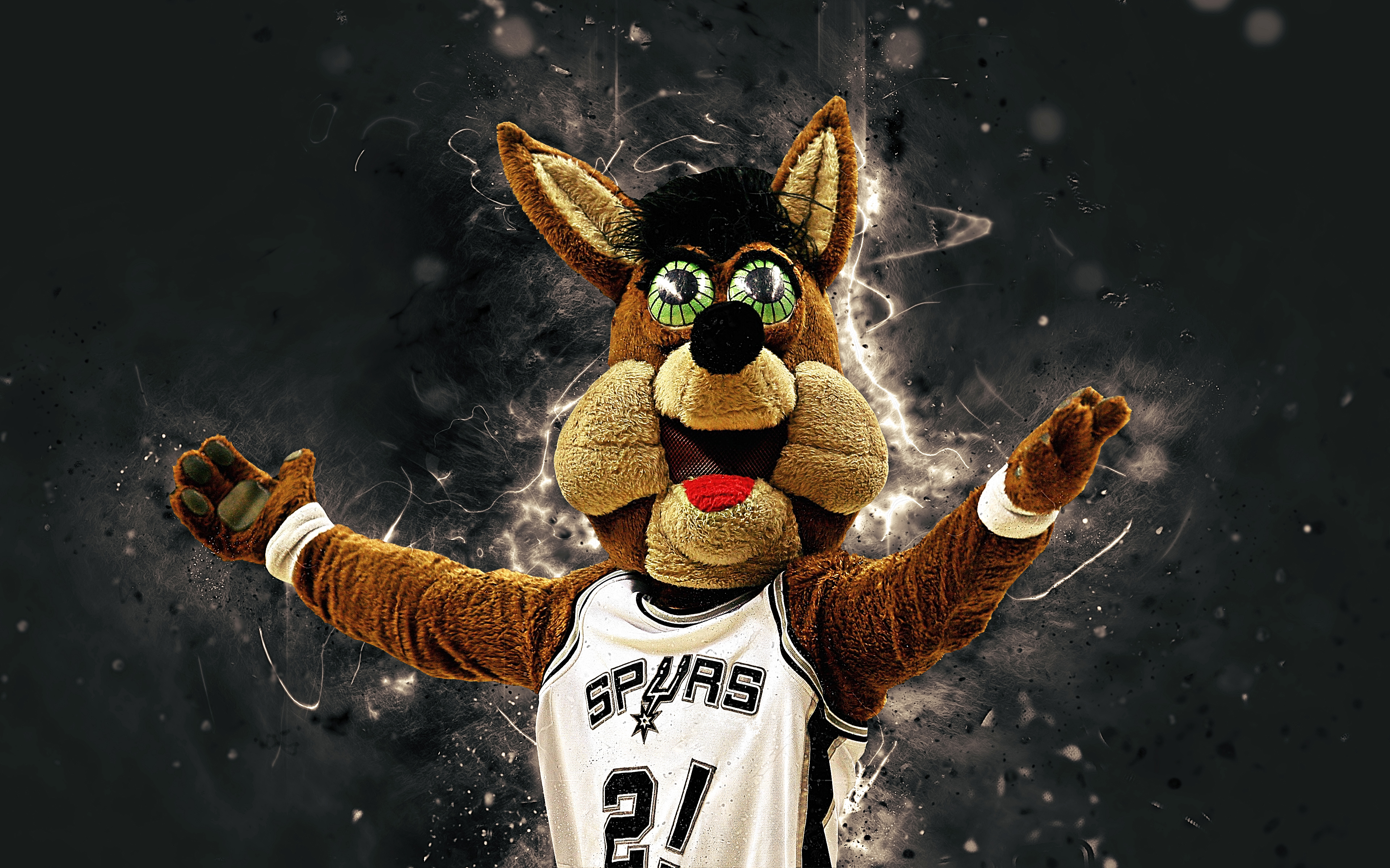San Antonio Spurs, NBA, Basketball