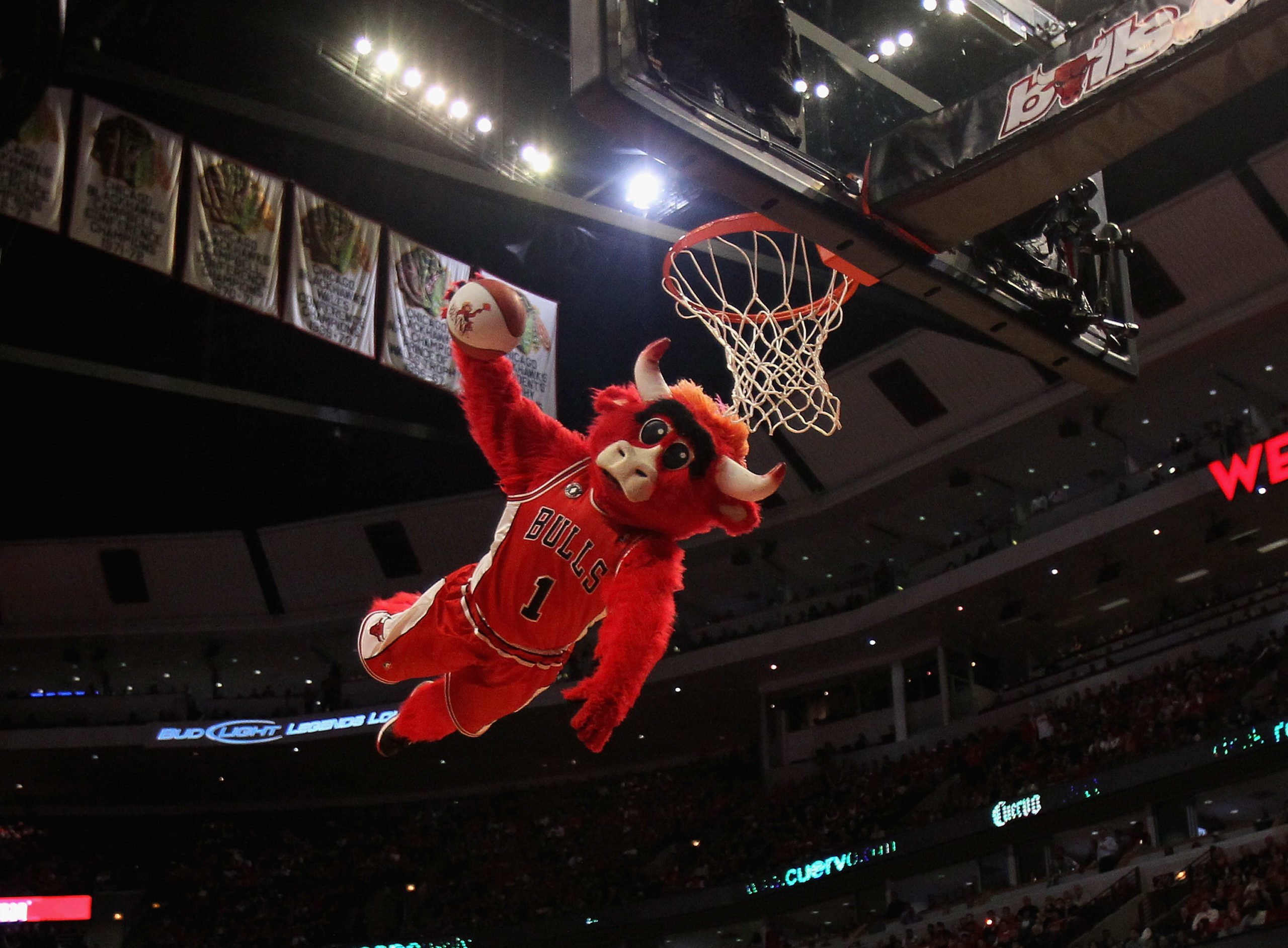 Montana transformed Benny the Bull