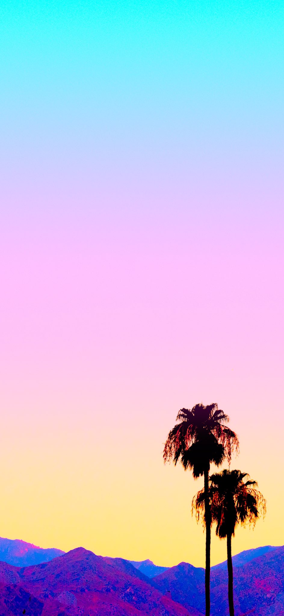 Matt Crump - #PalmSprings