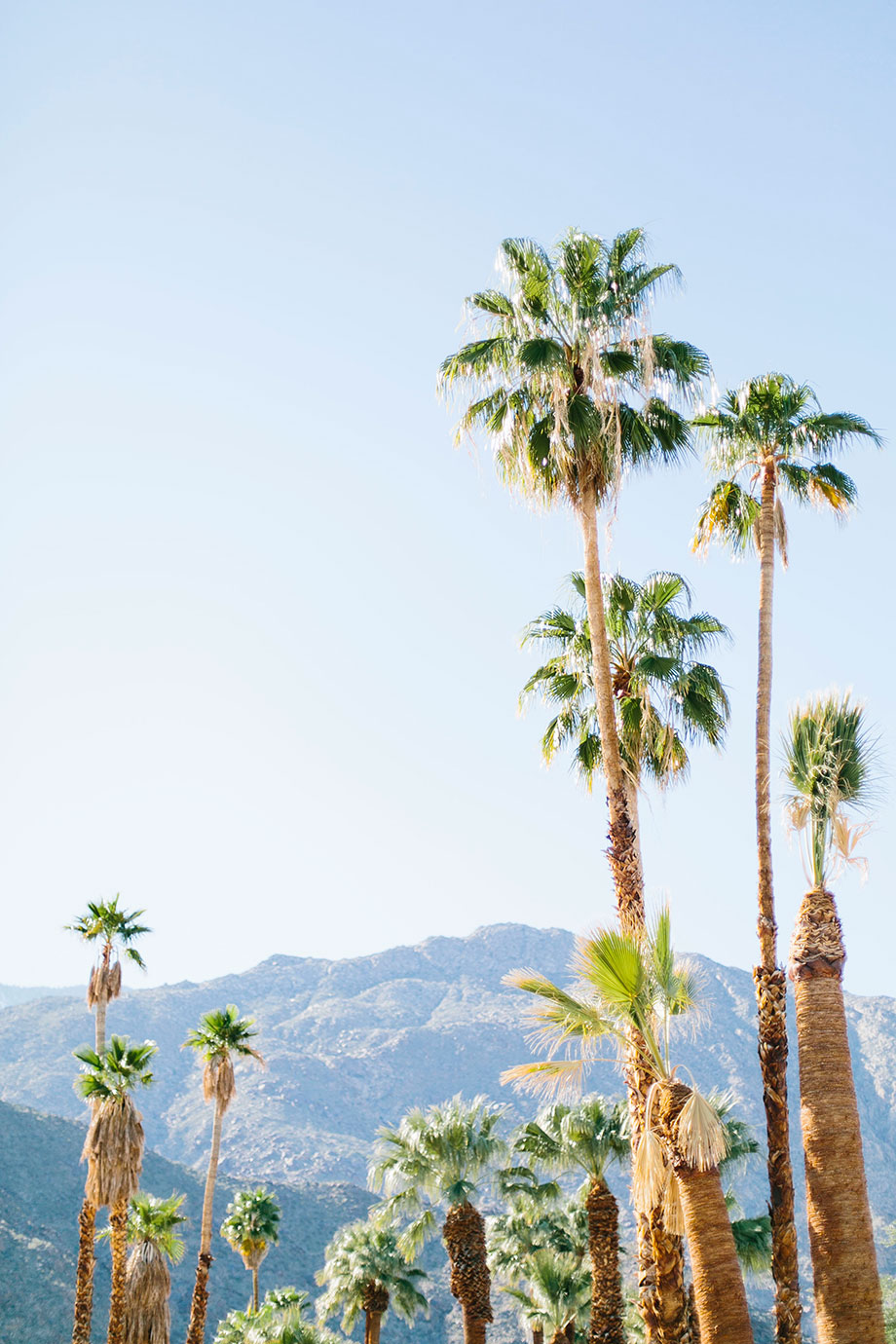 Modernism Week in Palm Springs