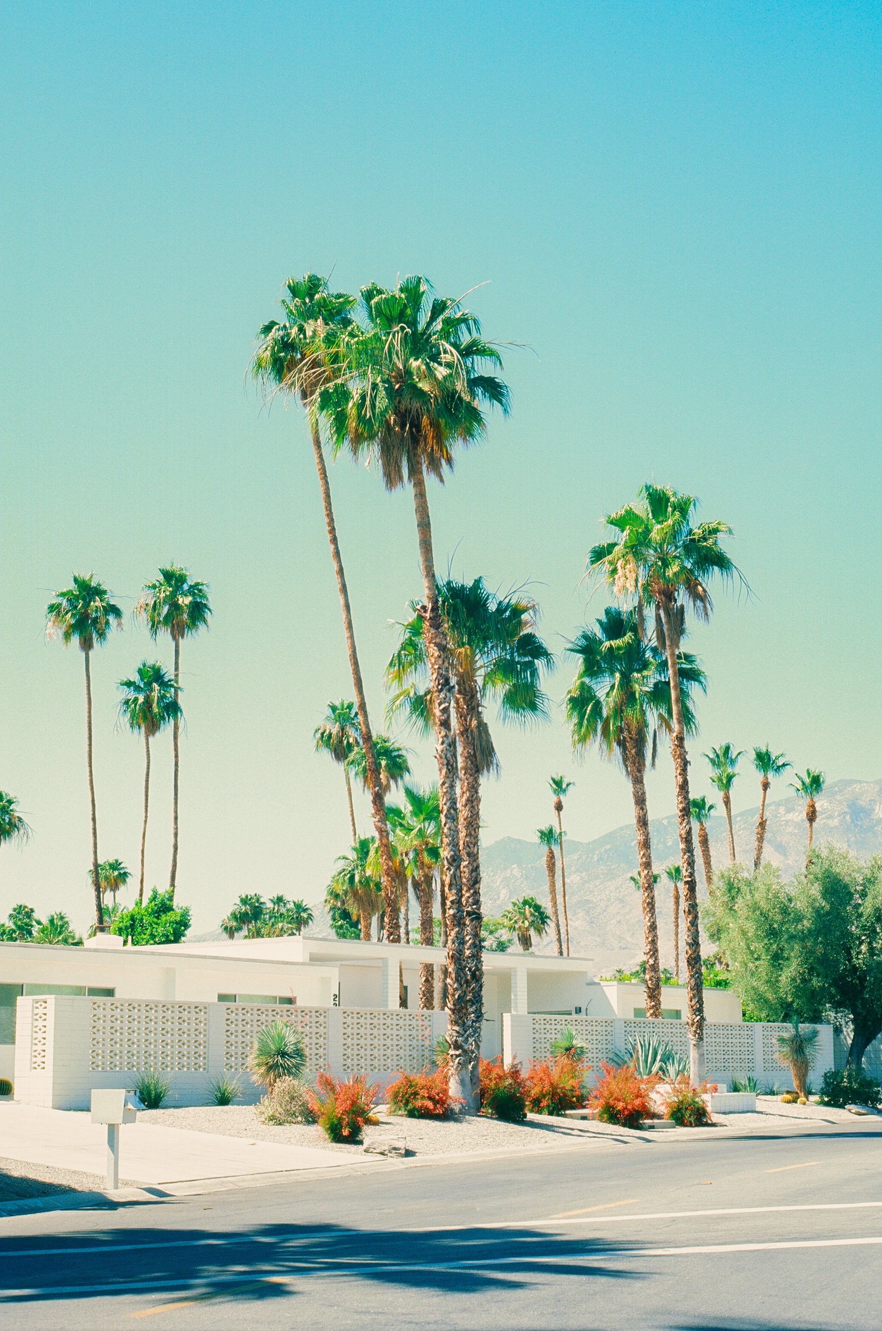 Palm Springs