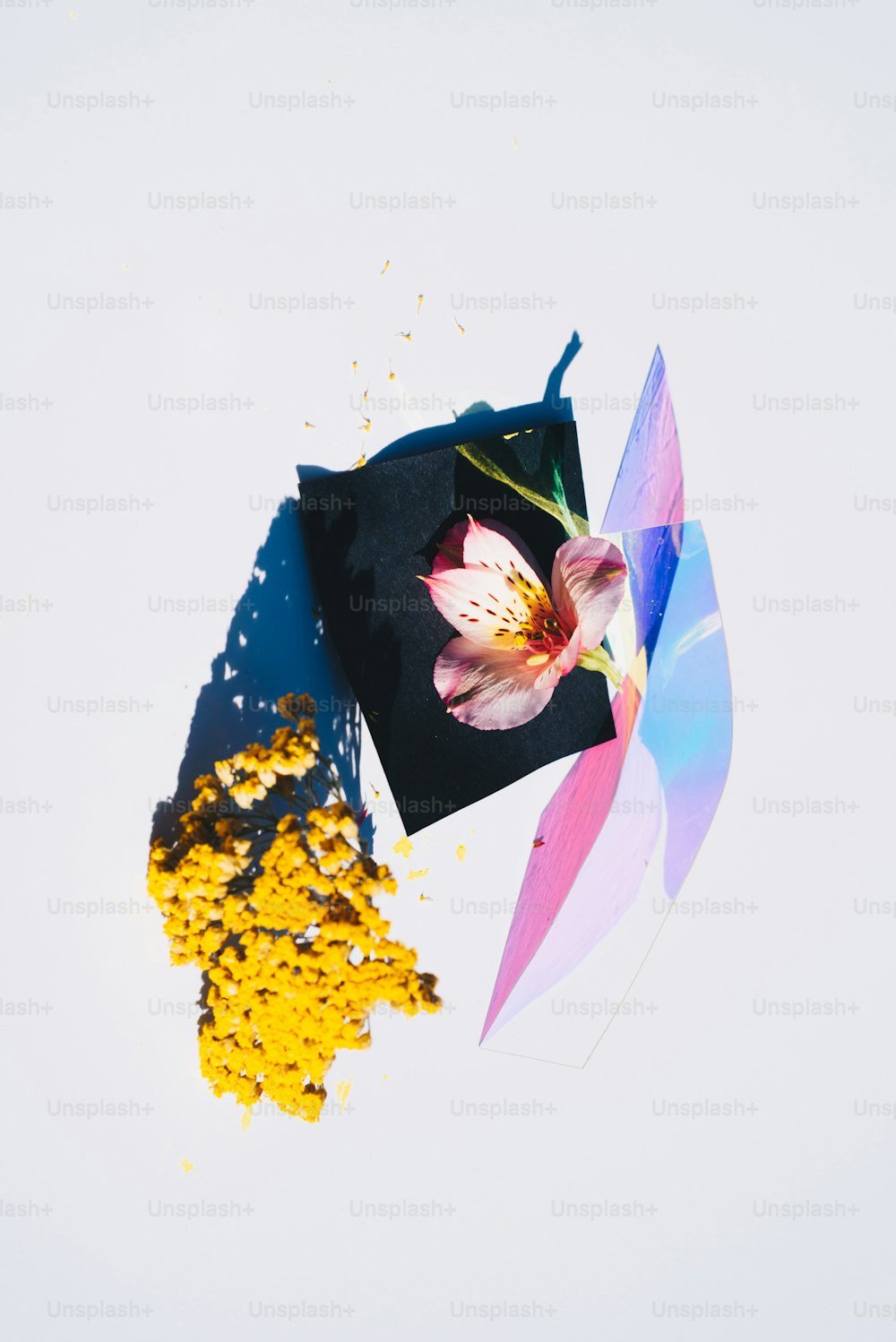 iPhone 11 Wallpaper Picture. Download