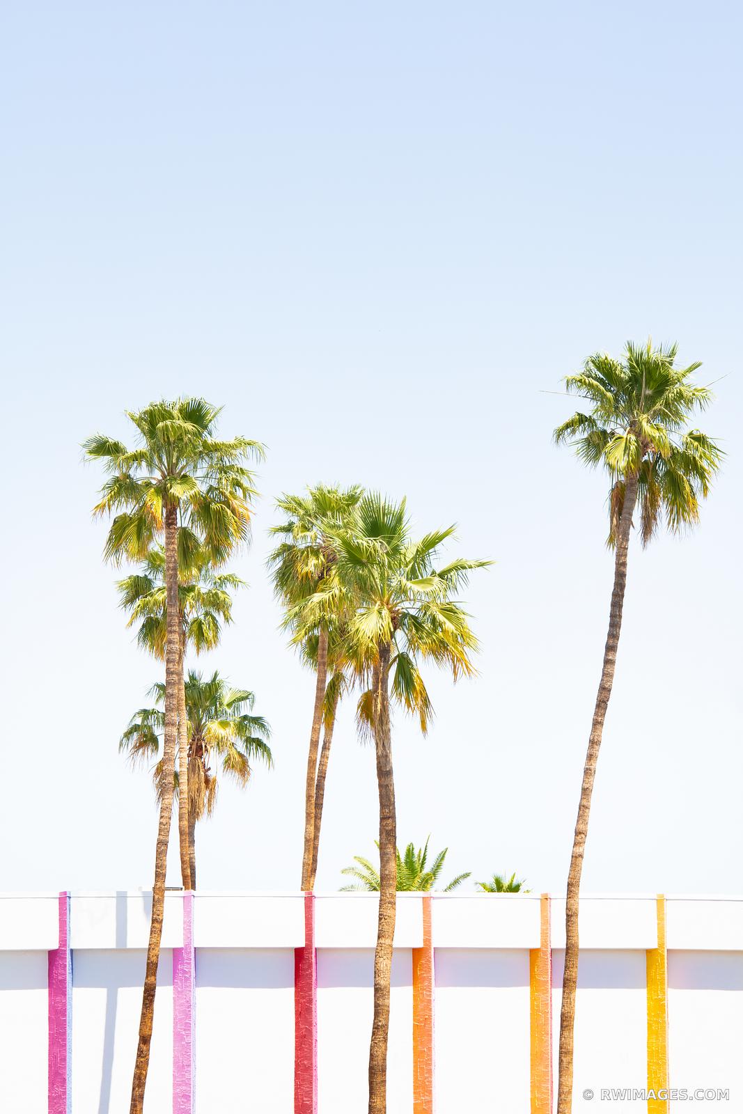 Framed Print Wall Decor Art