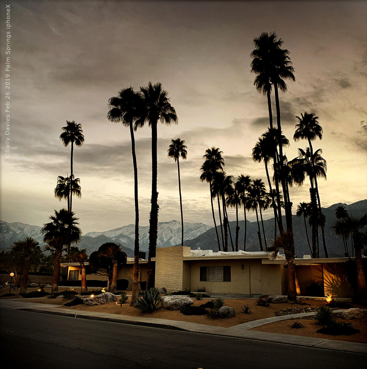 Palm Springs::Sally Davies Photo