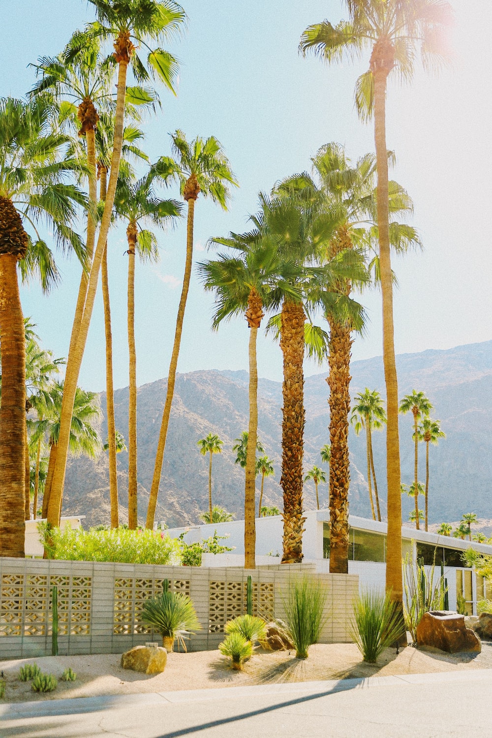 Download Free 100 + wallpaper palm springs