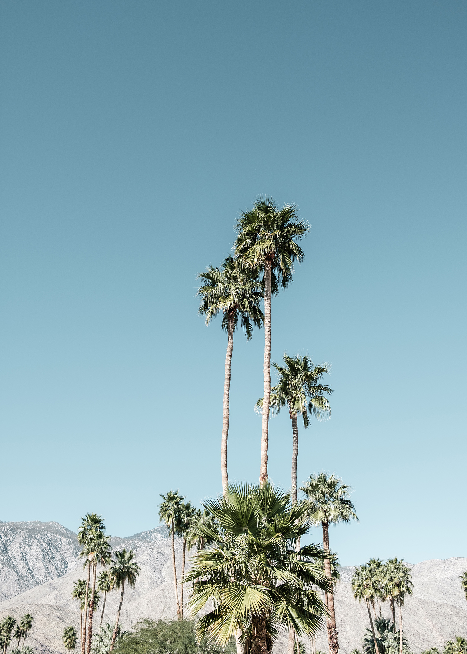 Modernism Week, Palm Springs