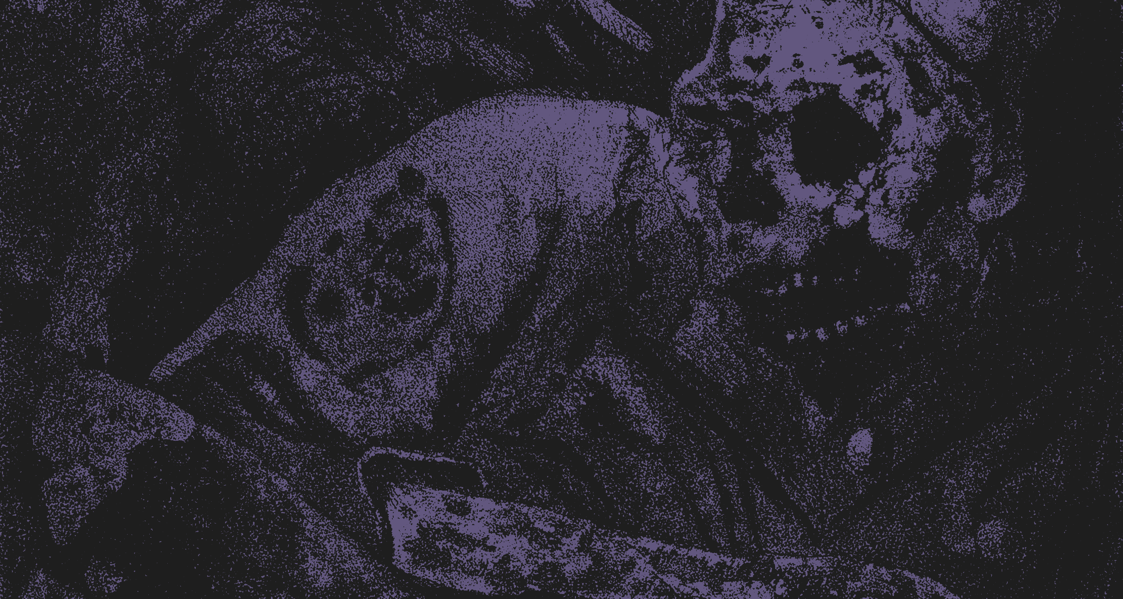 Rotten to the Core // November 2021