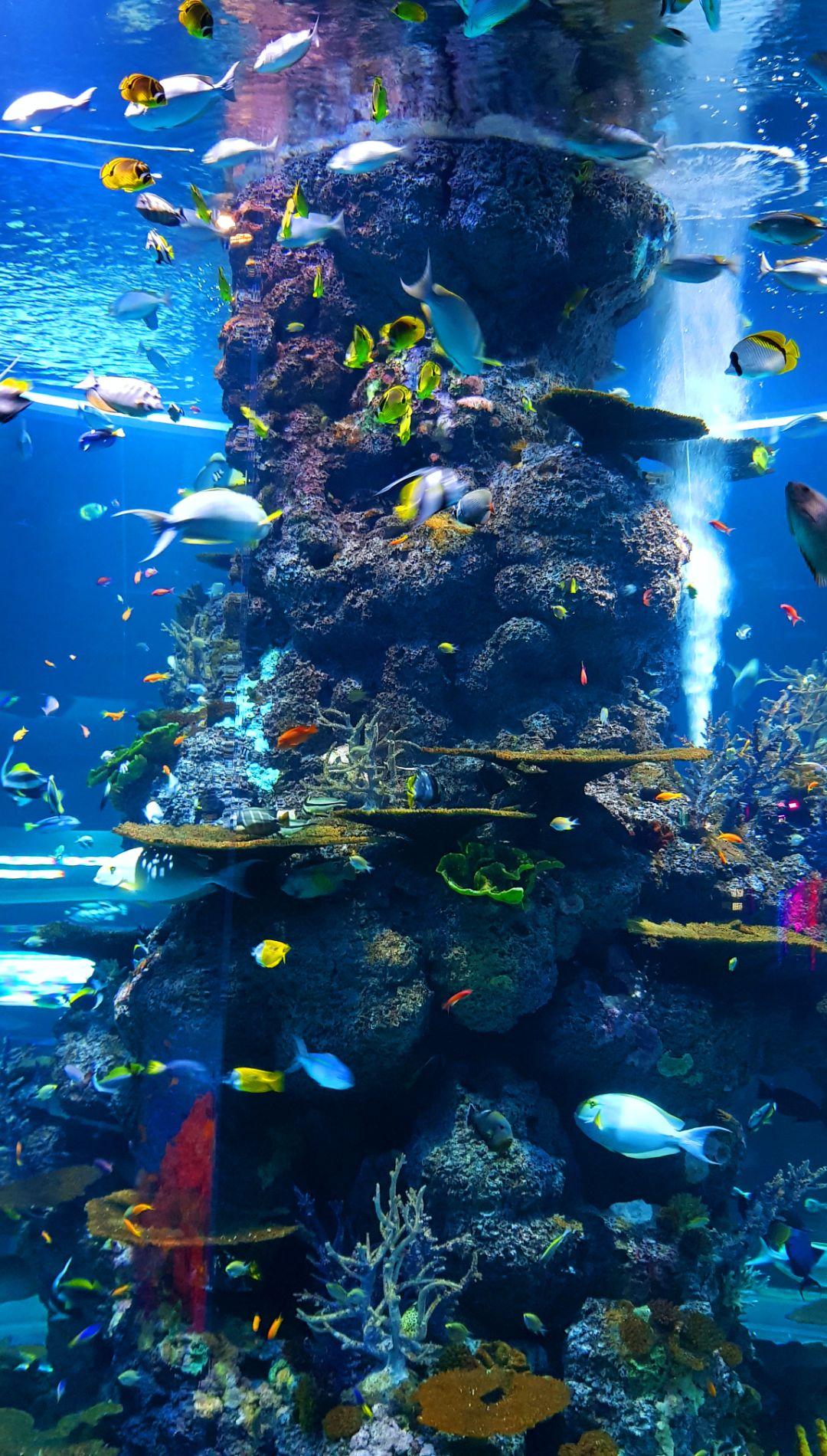 Underwater iPhone Wallpaper HQ